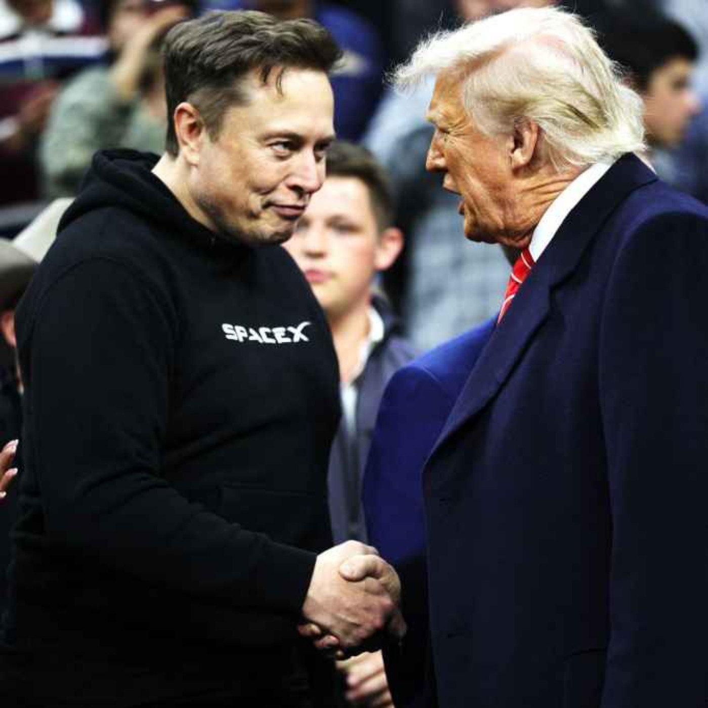 Thumbnail for Trump v Musk: who won?