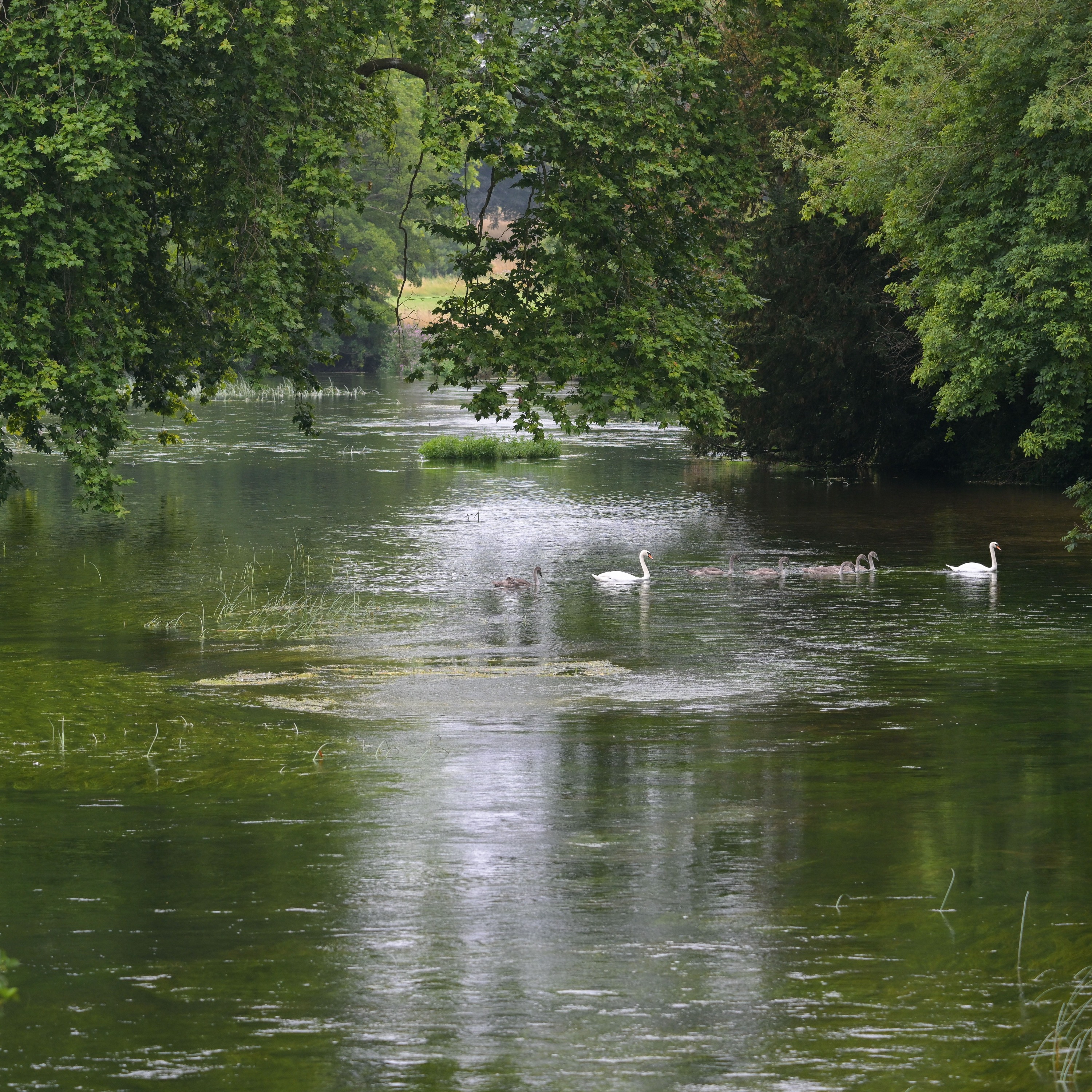 Why rivers need human rights