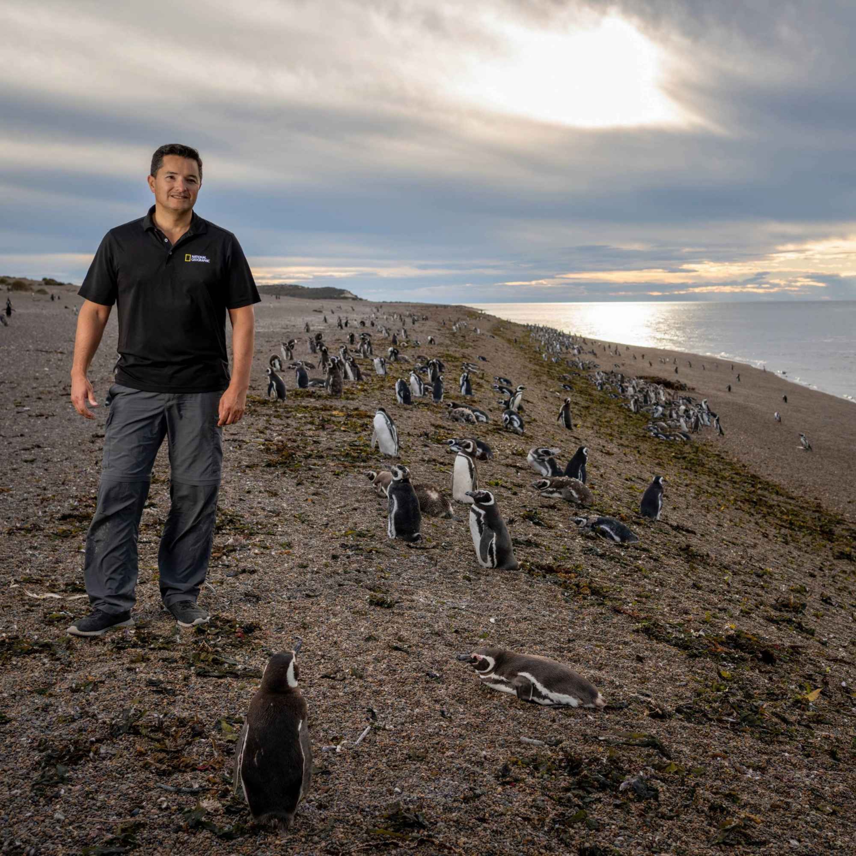 The Story presents Planet Hope: The penguin guardian of Patagonia