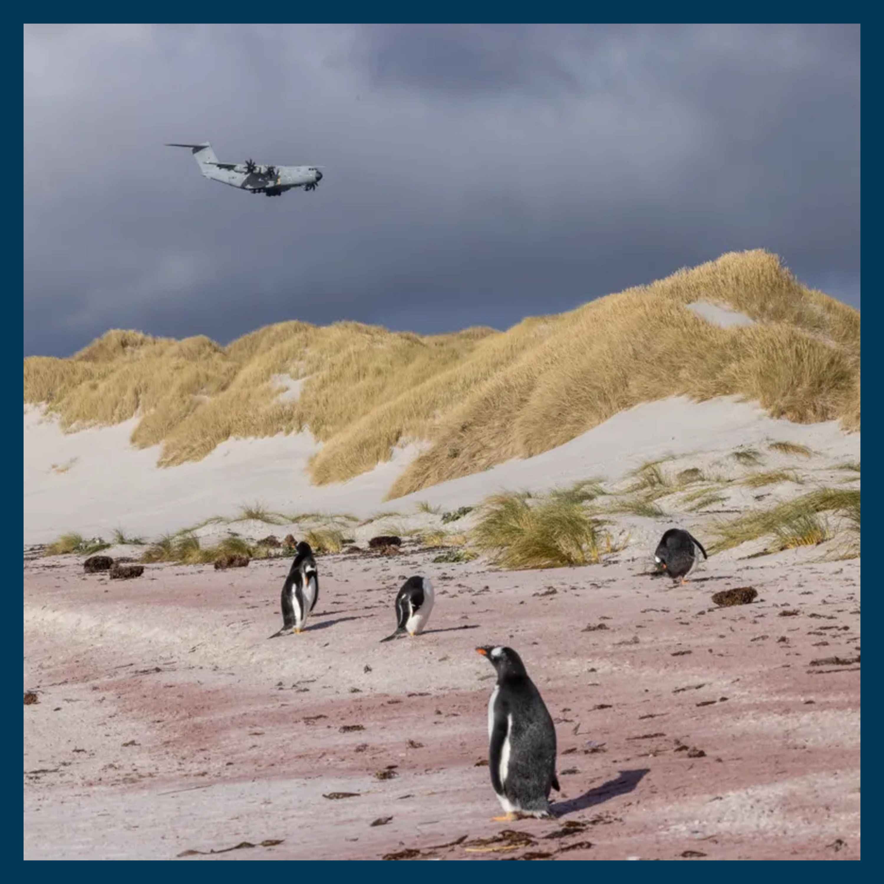 Unrest in the Falklands