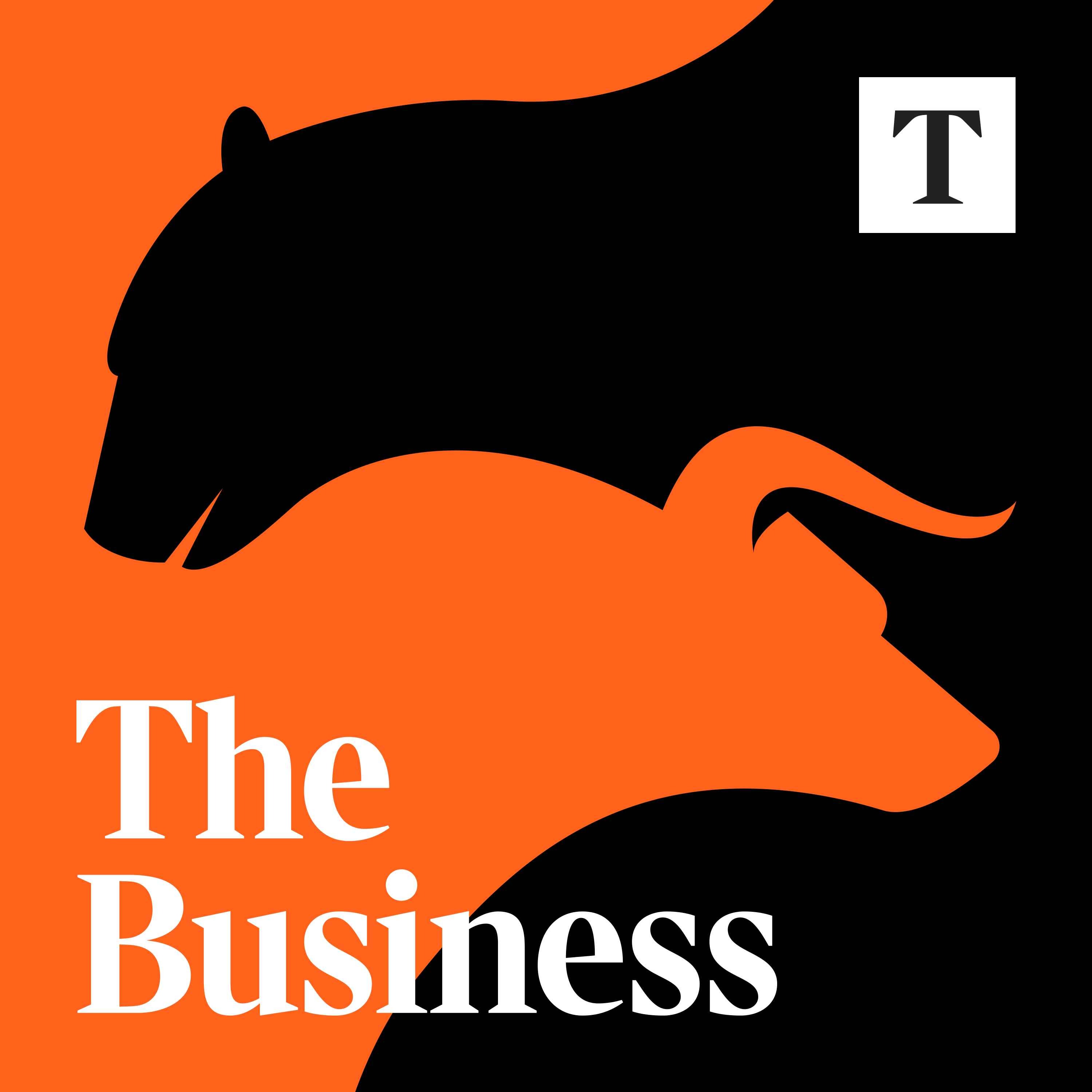 Introducing The Business