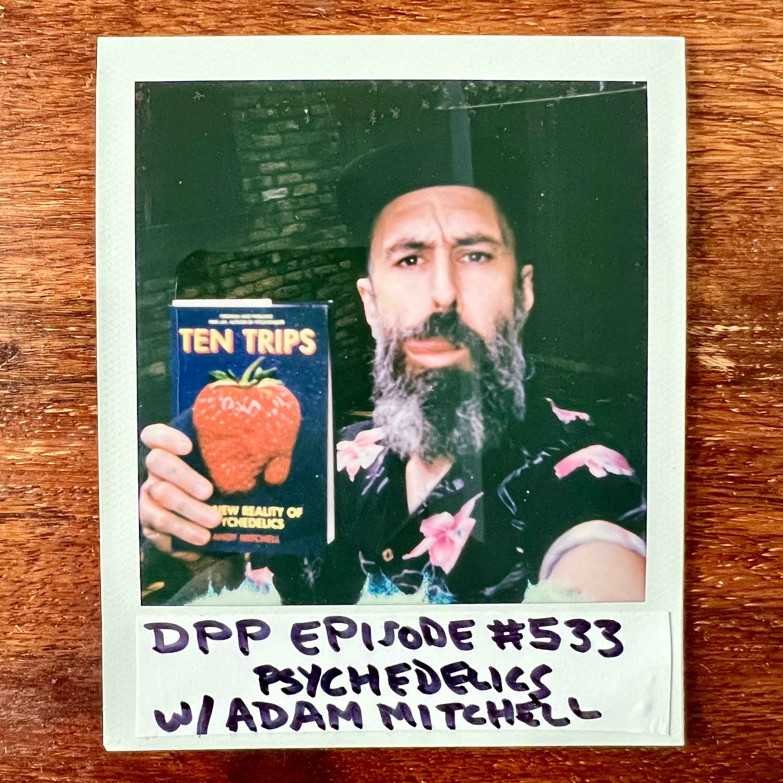 Psychedelics w/ Andy Mitchell • Distraction Pieces Podcast with Scroobius Pip #533