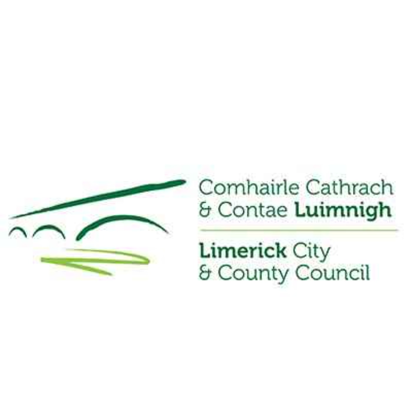 Limerick's newly elected Tommy O'Sullivan and Shane Hickey O'Mara