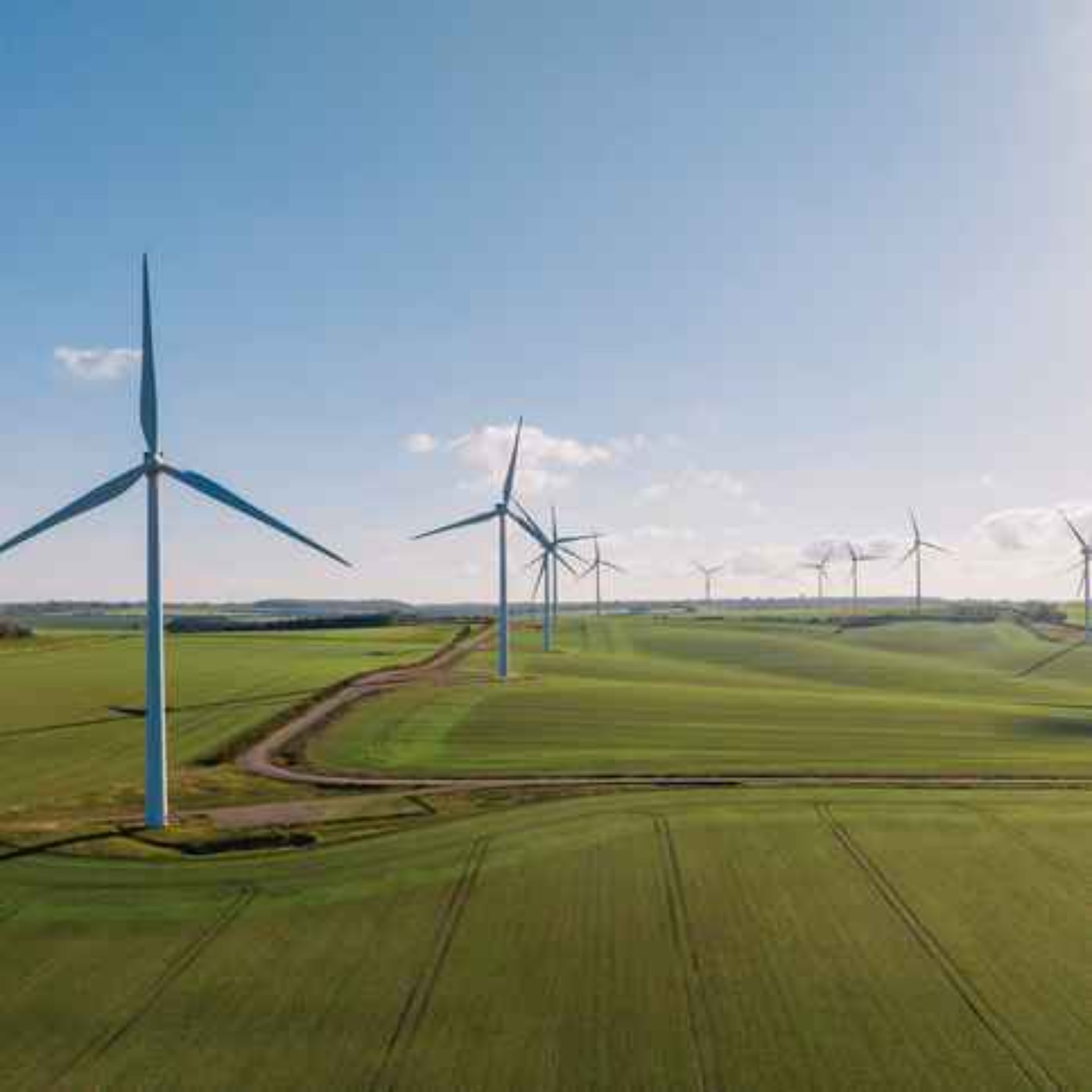 Eco Insights the final episode - wind farms and nature