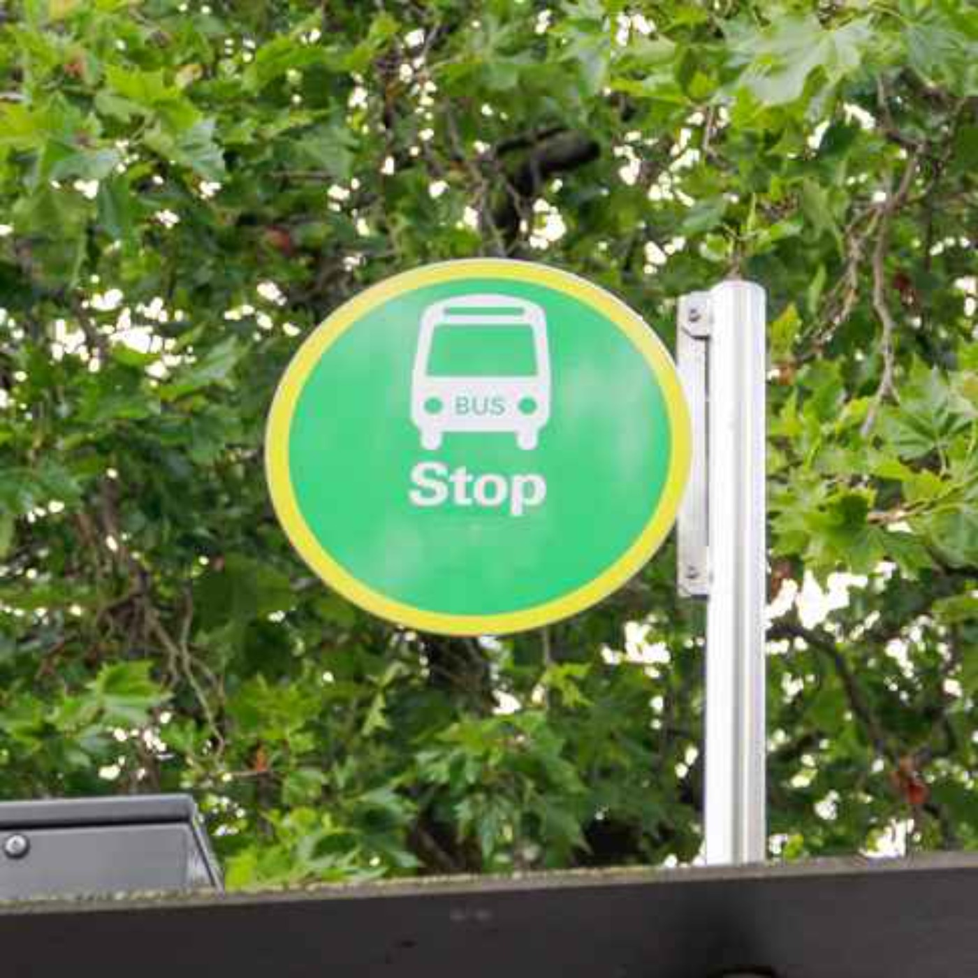 SIPTU may instruct drivers not to drive the 303 Limerick City route episode artwork