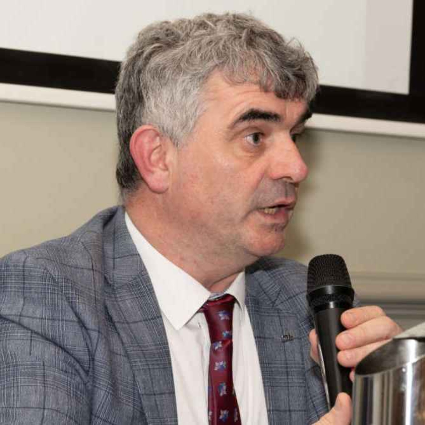 Limerick TD on reaction to his comments on Irish cultural identity episode artwork