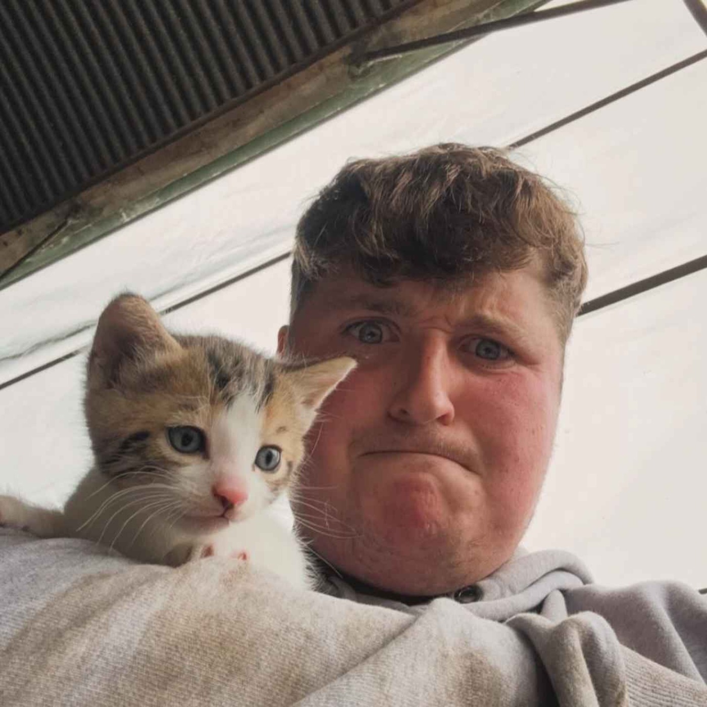 A young Limerick farmer's growing popularity on TikTok episode artwork