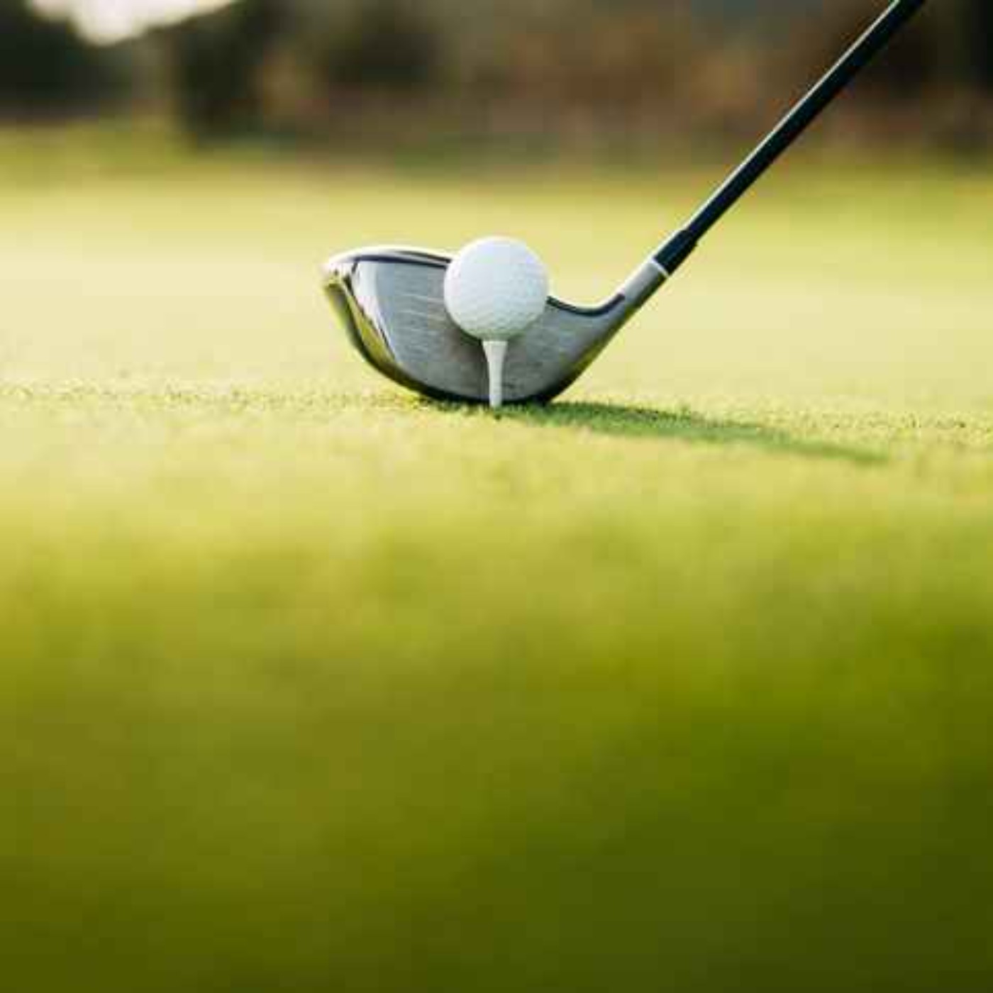 What lessons can the Ryder cup in Limerick learn from the current Open Golf Championship? episode artwork
