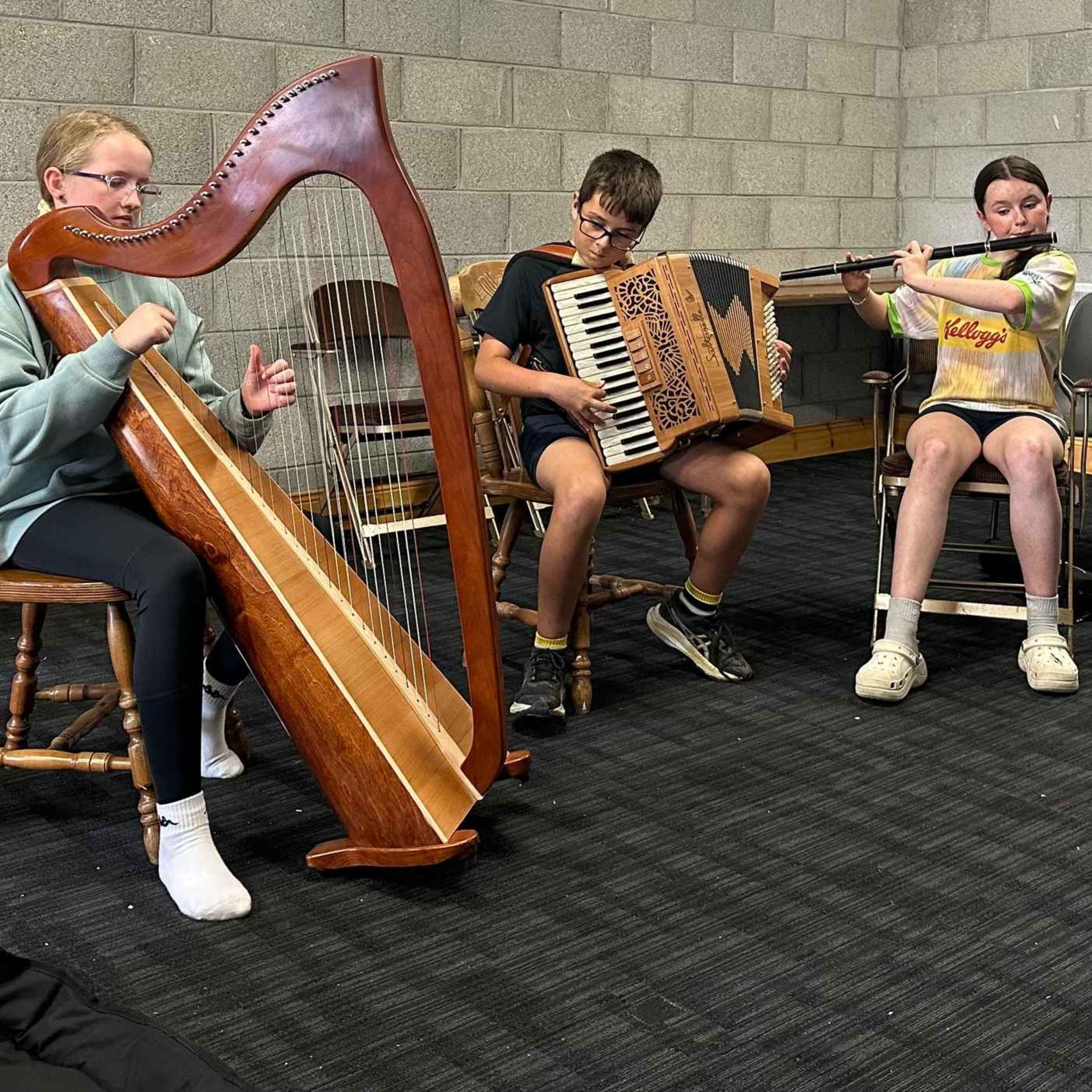 Banogue National School heads to All Ireland Fleadh episode artwork