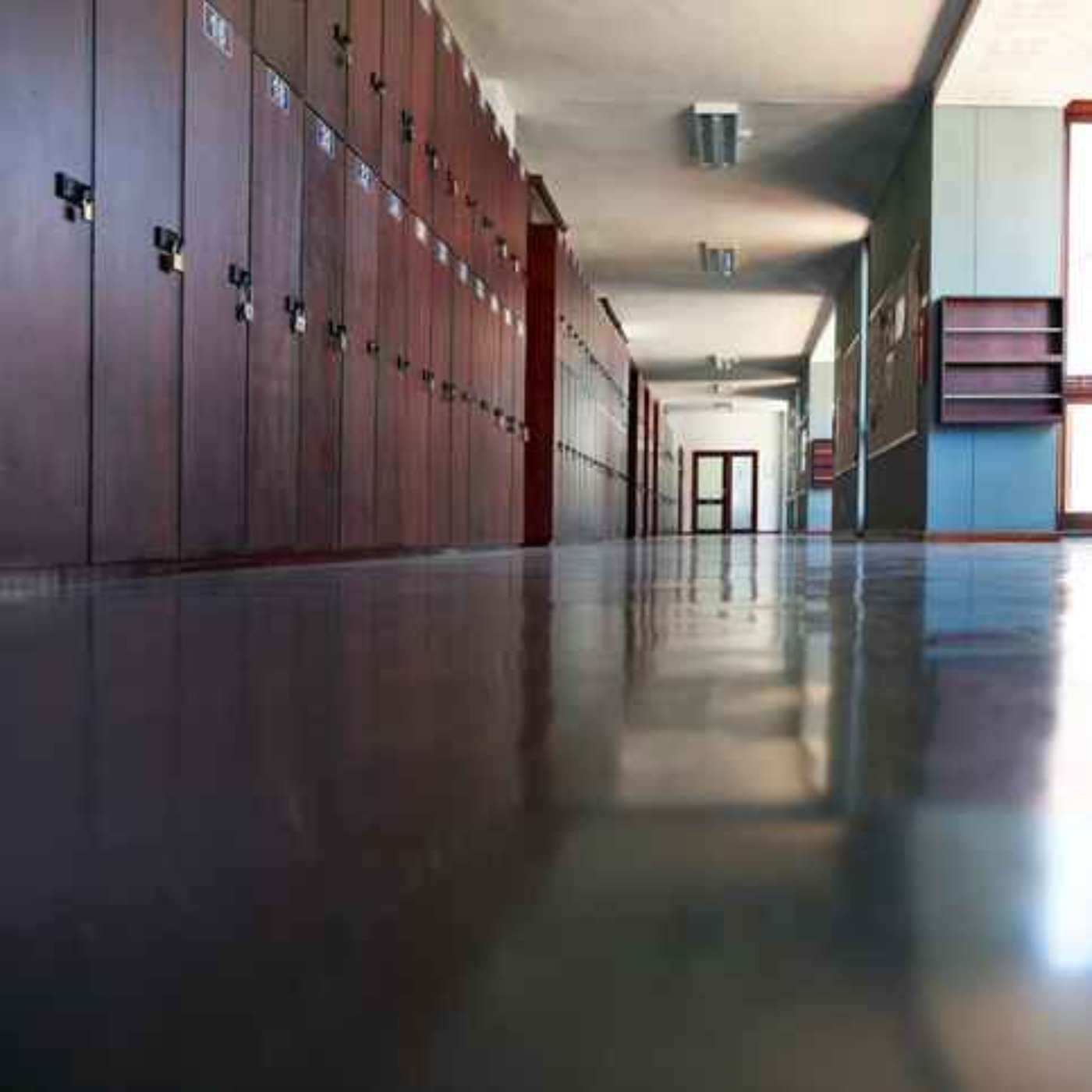 UL study finds 'little evidence' of improved exam performance DEIS schools episode artwork