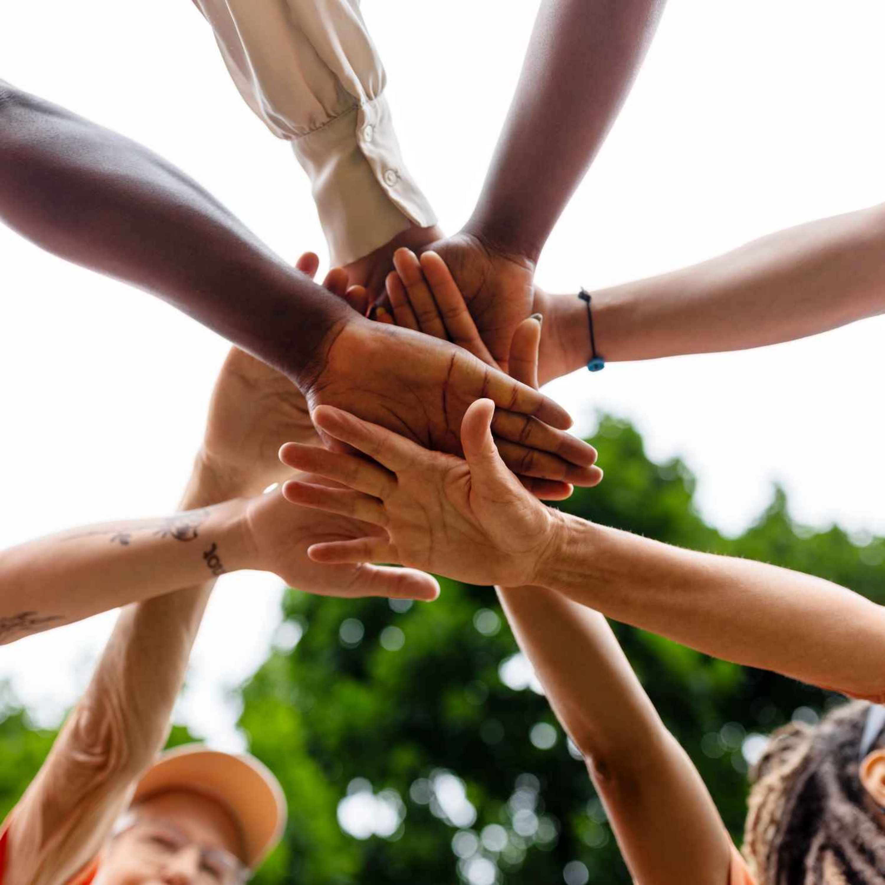 What are your rights as a volunteer in Ireland?