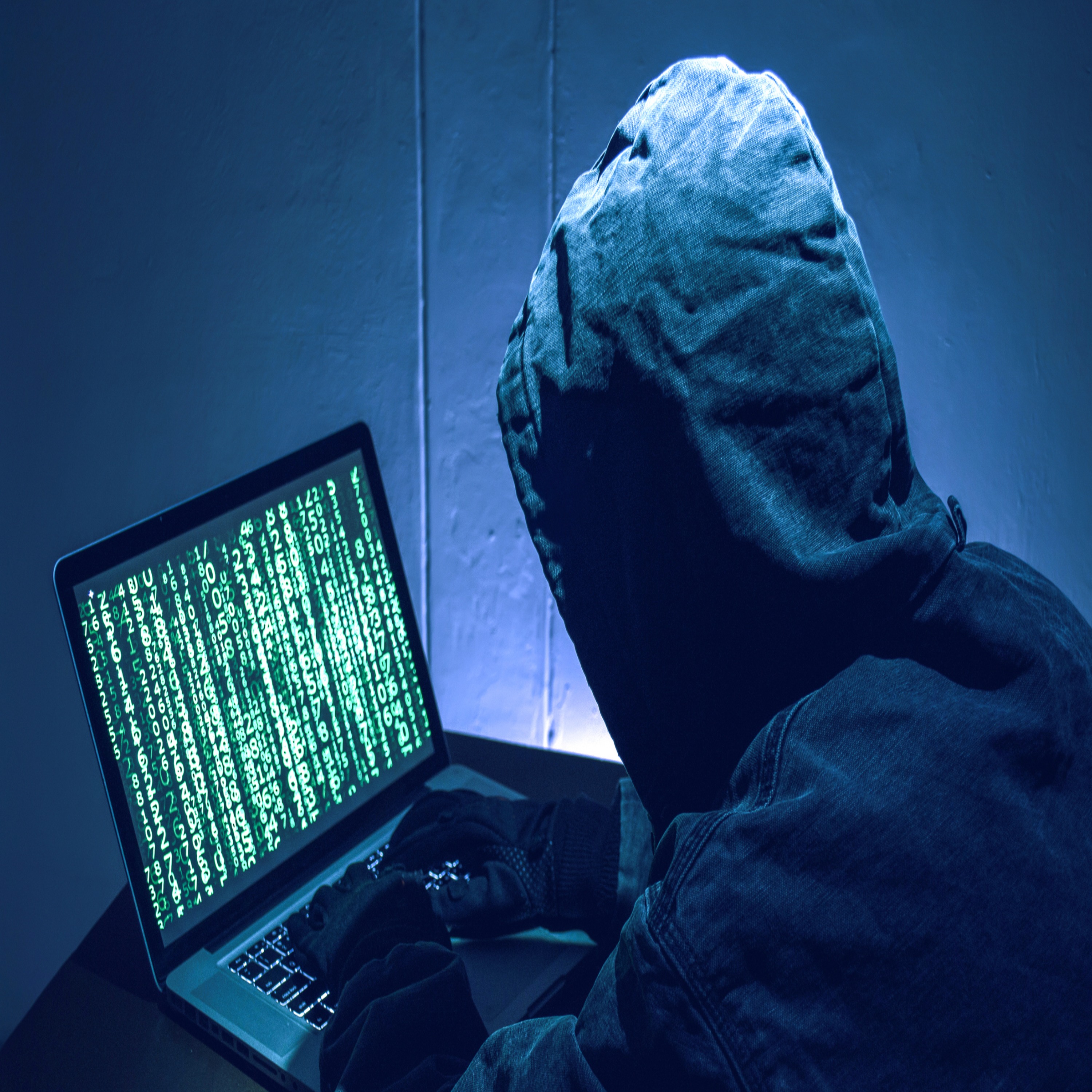 Scammers Use Fake Online Businesses to Target Shoppers episode artwork