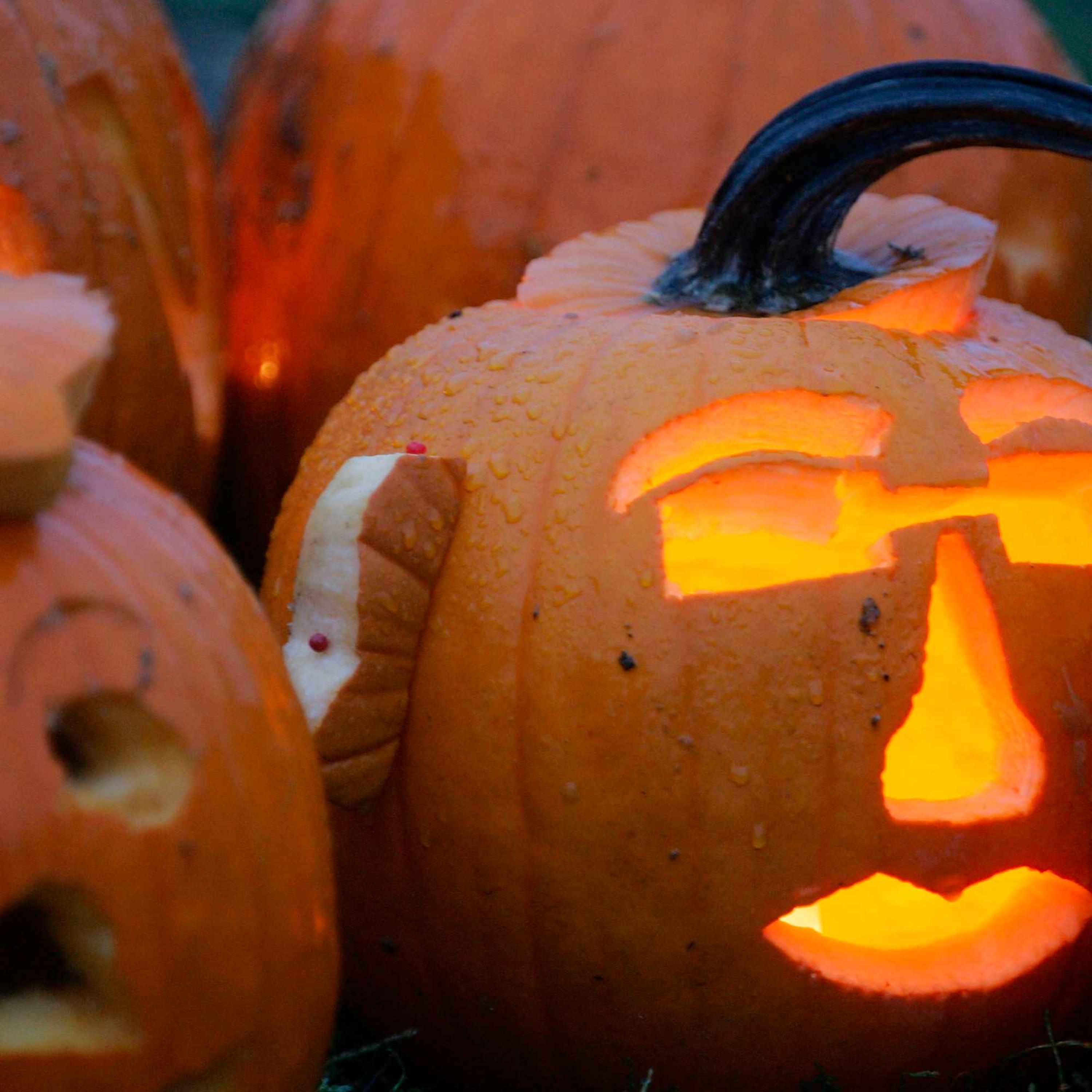 Pumpkin Perfection - Our Best Recipe Ideas episode artwork