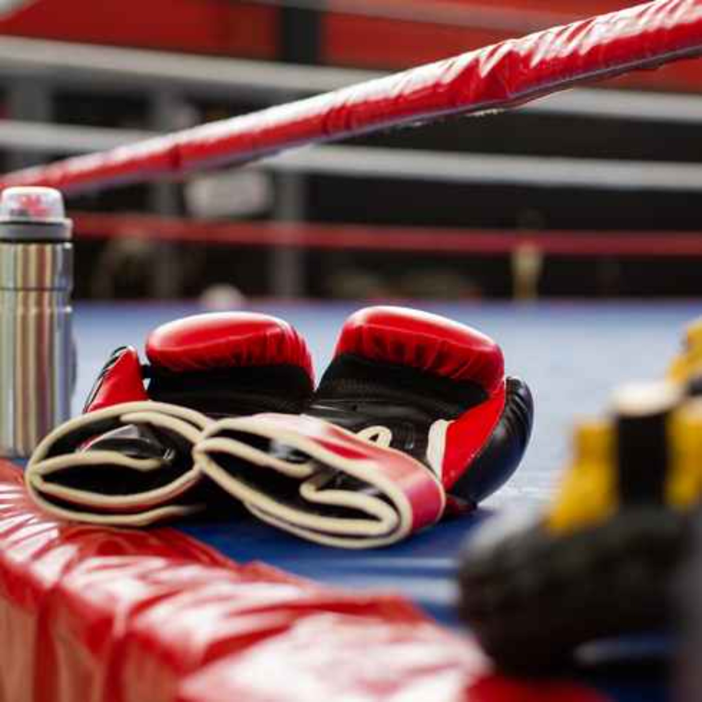 New boxing book features Limerick greats and well known household names episode artwork