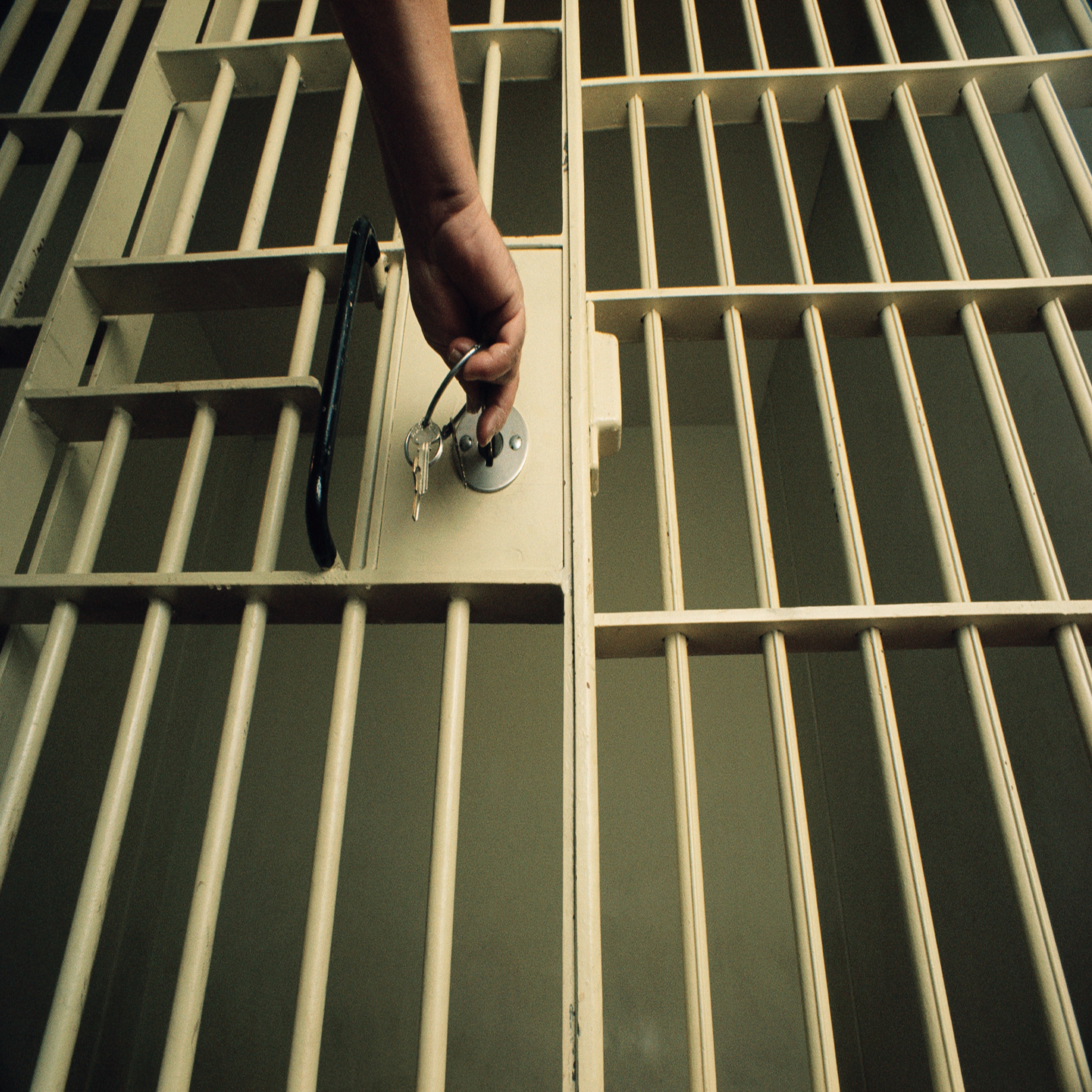 Ireland South MEP says Violent criminals are on temporary release from prison and she welcomes commitment to more prison spaces episode artwork