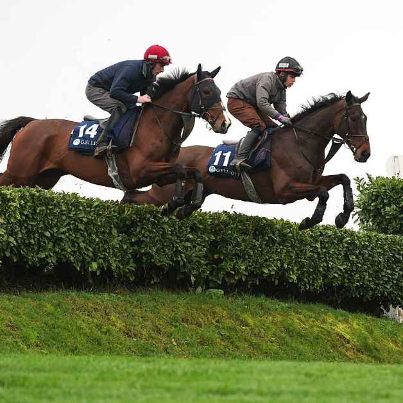 Cheltenham preview Day 1 episode artwork