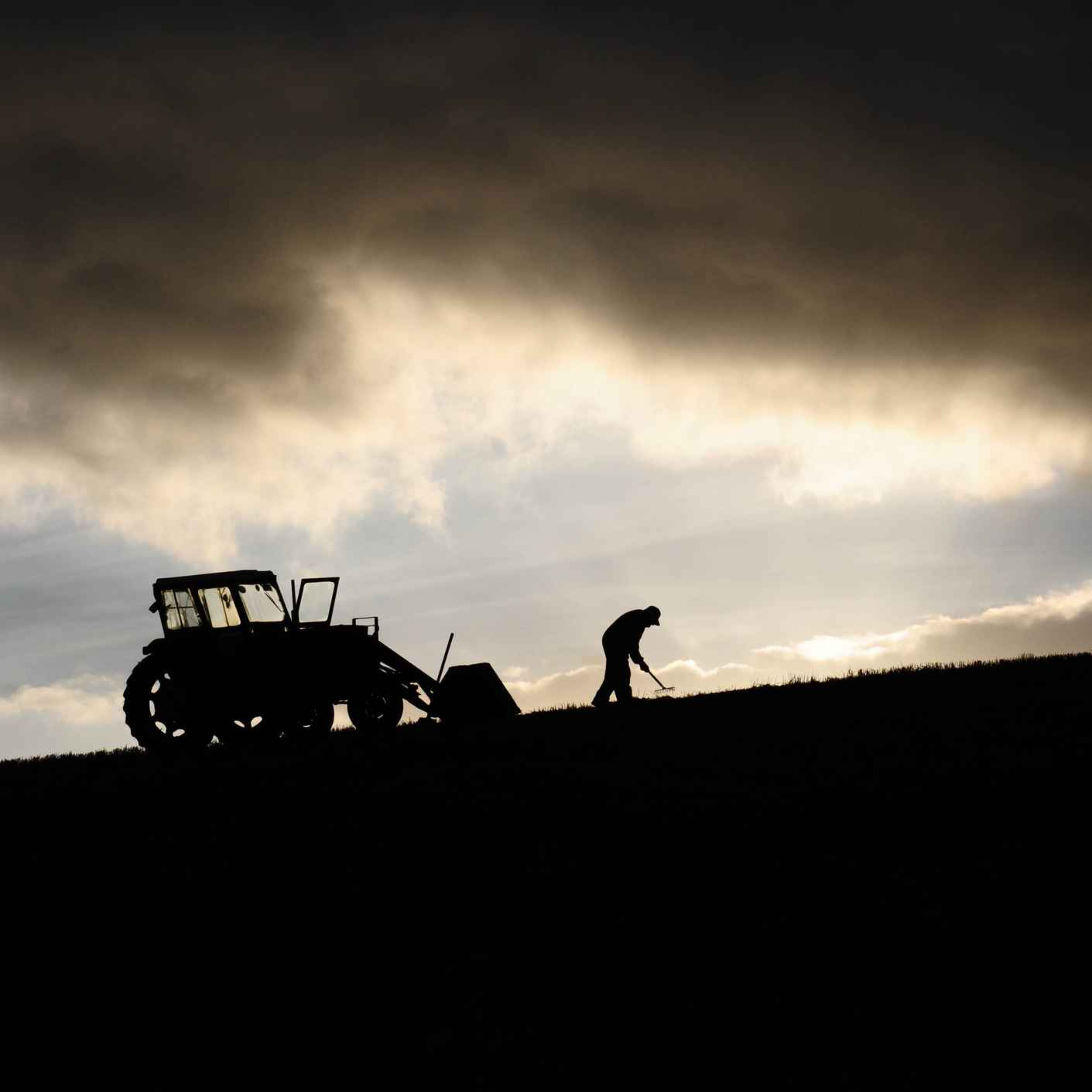Fuel feed and fertiliser concerns for Limerick farmers episode artwork