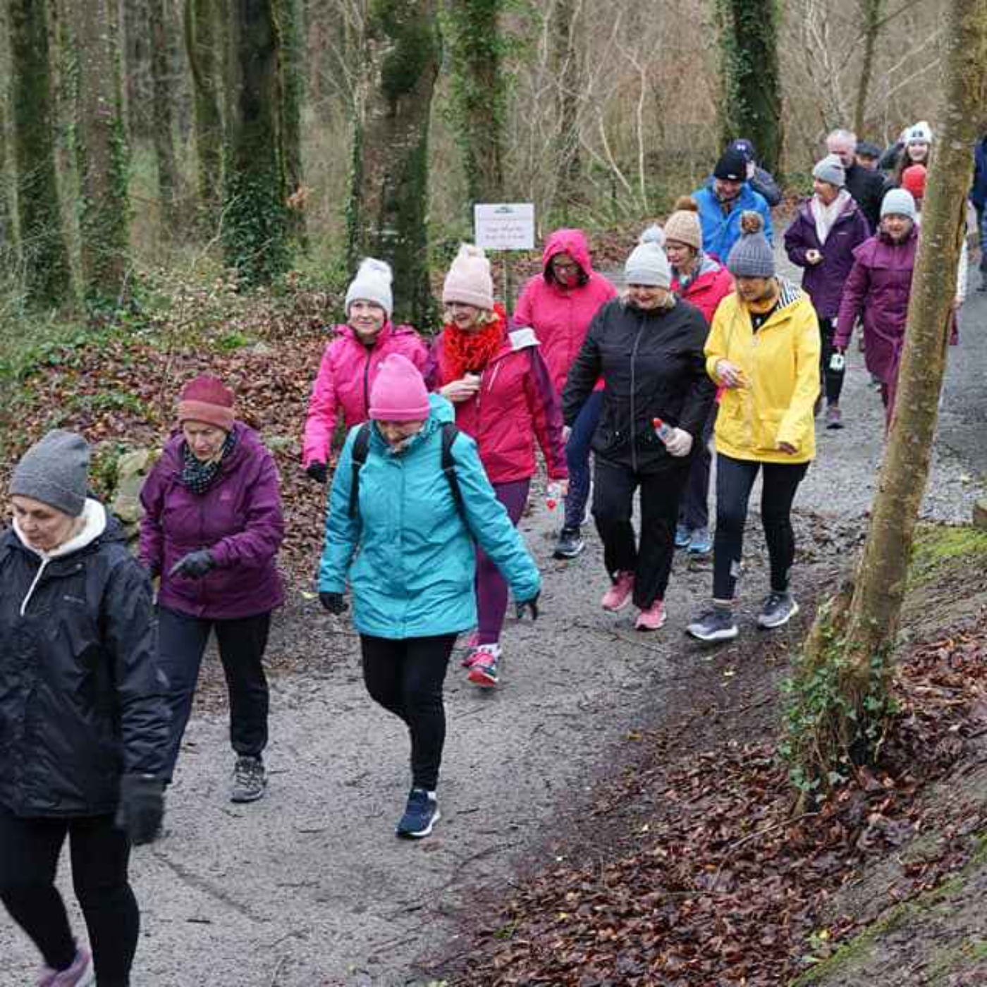 Limerick community initiative Walking Buddies welcomes you episode artwork