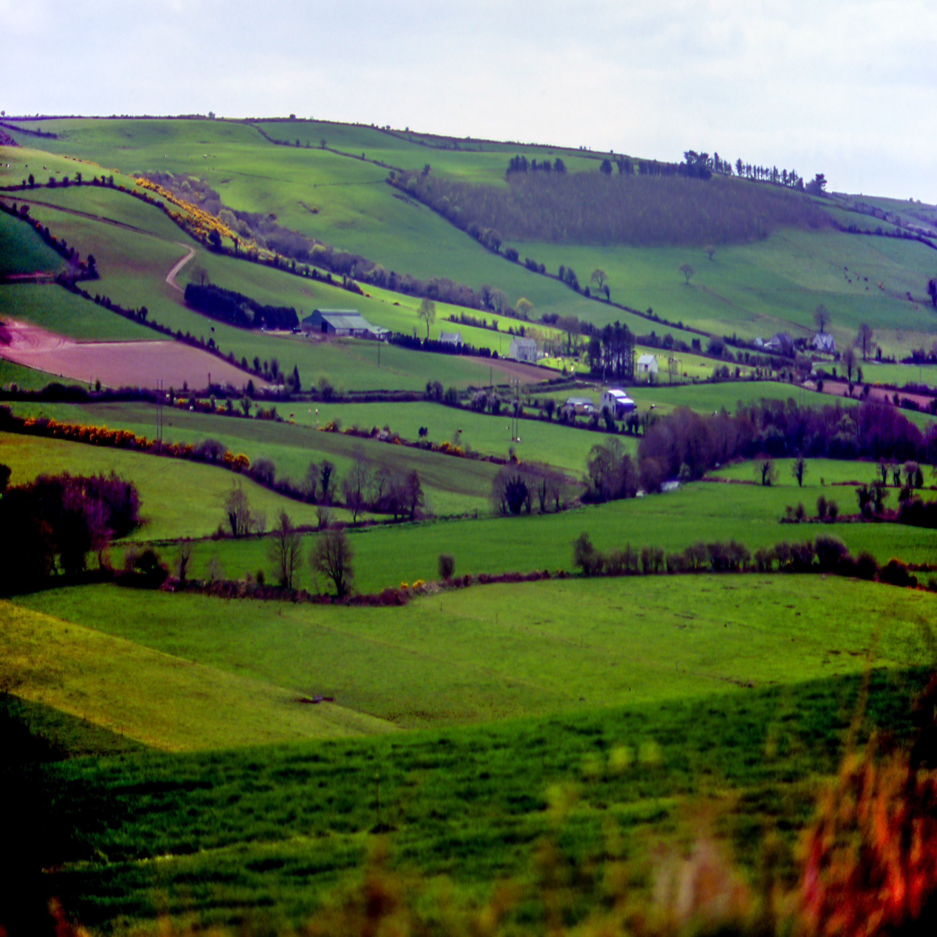  “From Nowhere, Going Nowhere?" A Famine Roads Lecture, comes to Limerick episode artwork