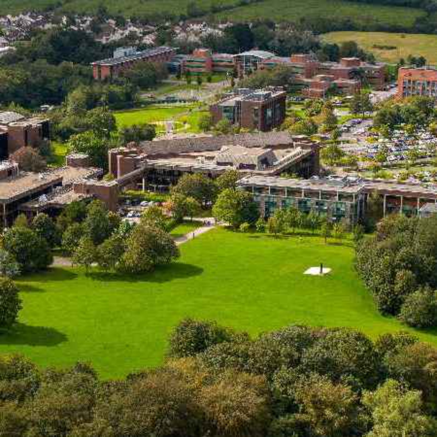 Woodview Residents Association discuss the proposed University Way episode artwork