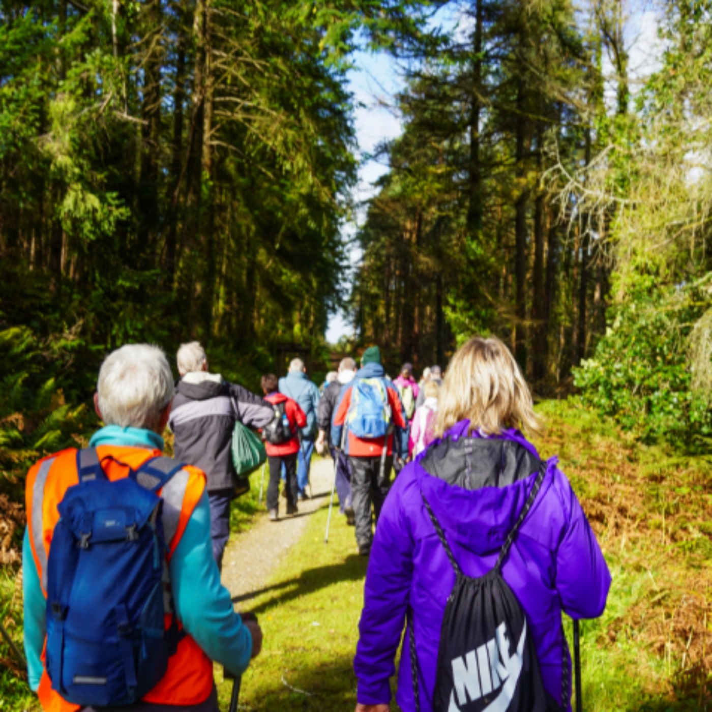 Ballyhoura Launches Guided Walk Series episode artwork