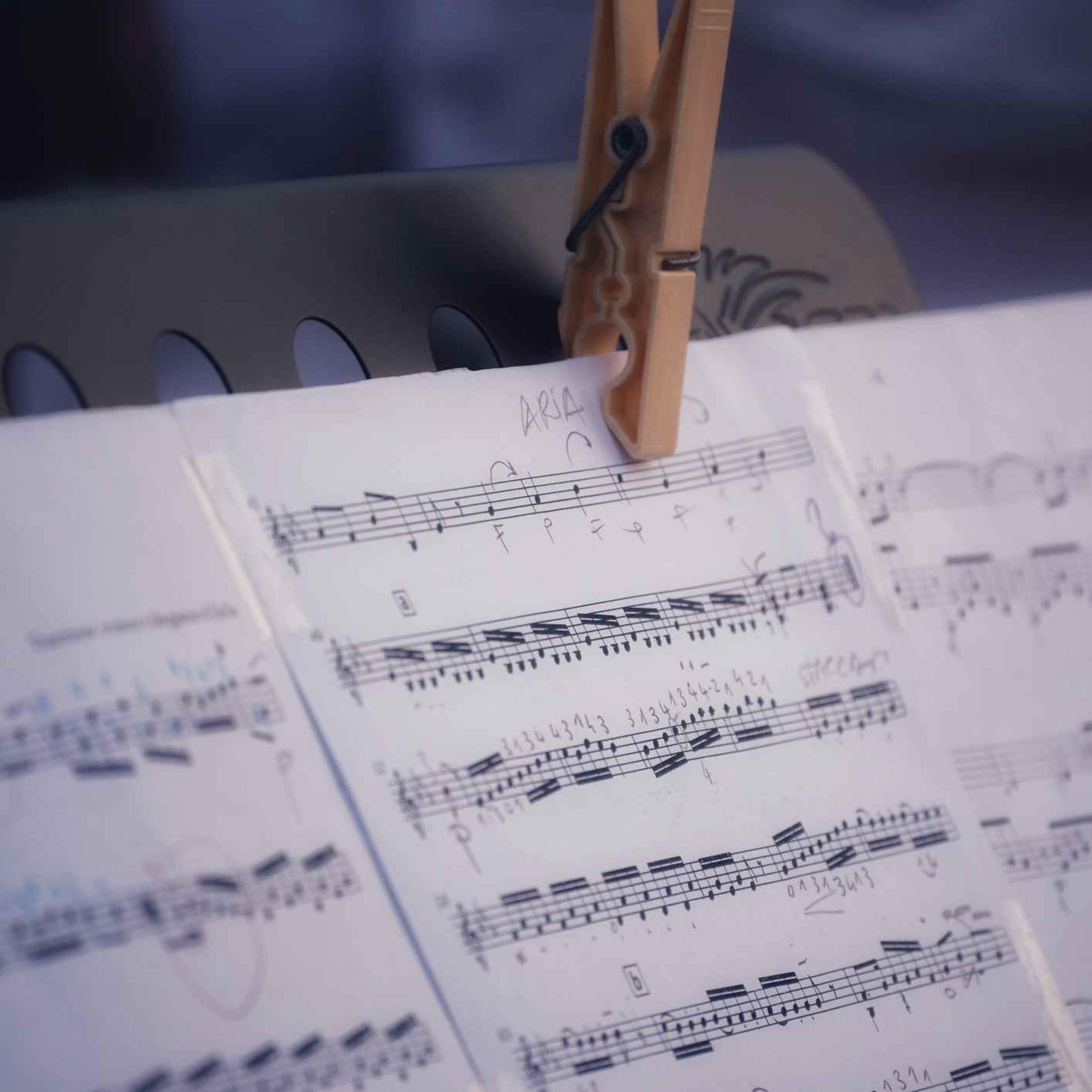 Limerick sings choral festival in Limerick episode artwork