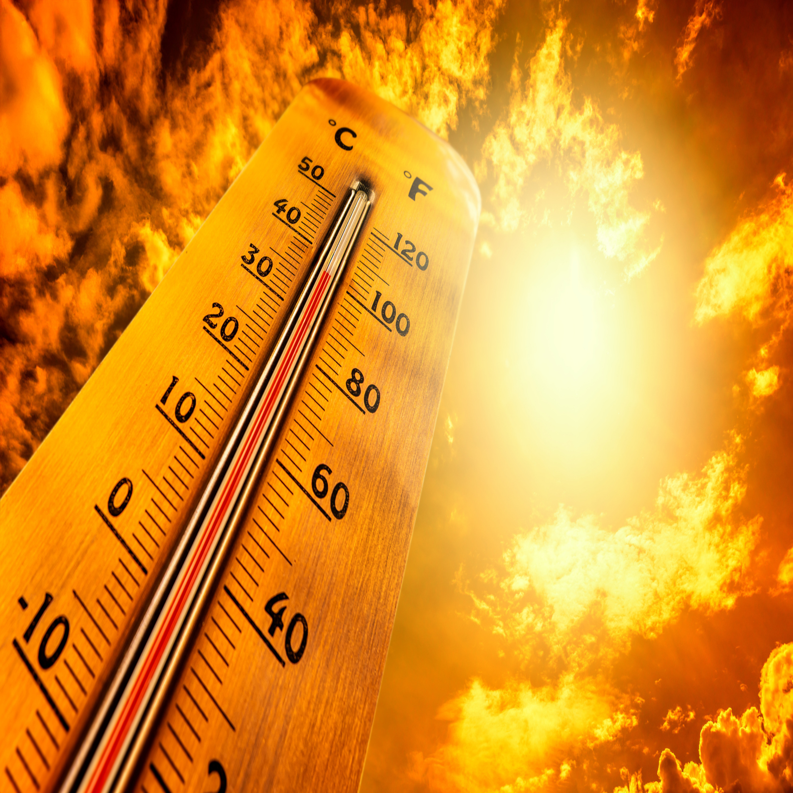 Record-breaking temperatures followed by days of downpours - what more can we expect for the weather this summer? episode artwork
