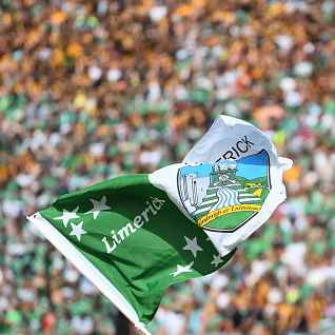 Limerick hurling fan famous for his decorative boat, chats ahead of the game episode artwork