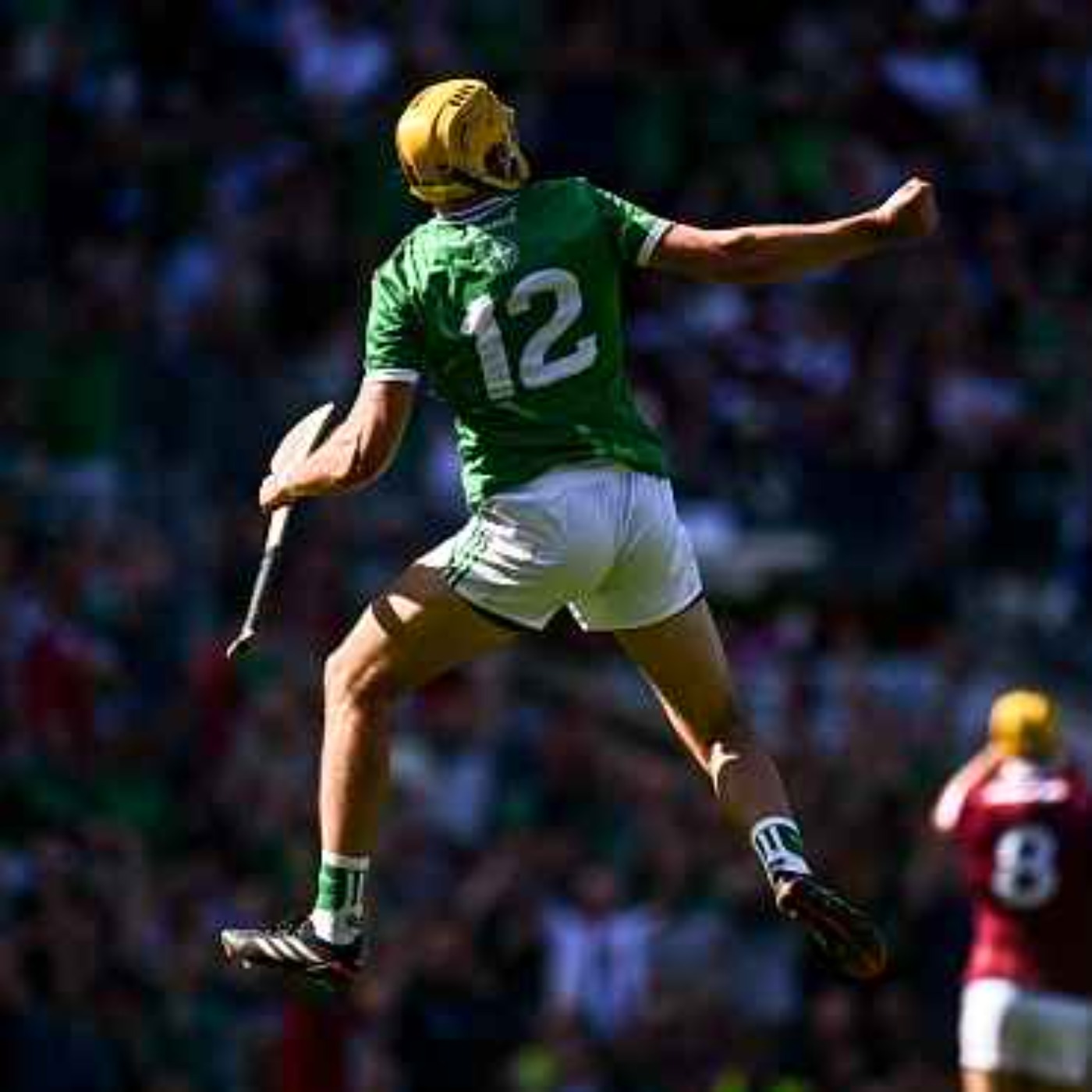 Former Limerick hurlers Seamus Hickey and Joe Quaid talk All-Ireland final win episode artwork