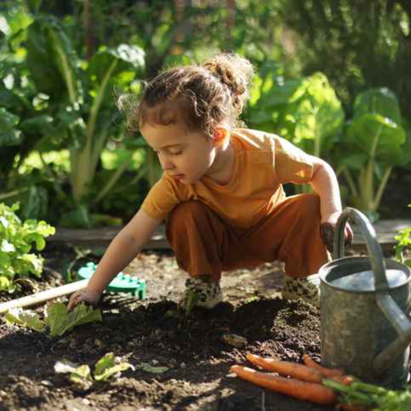 Turn your child into an environmental champion! episode artwork