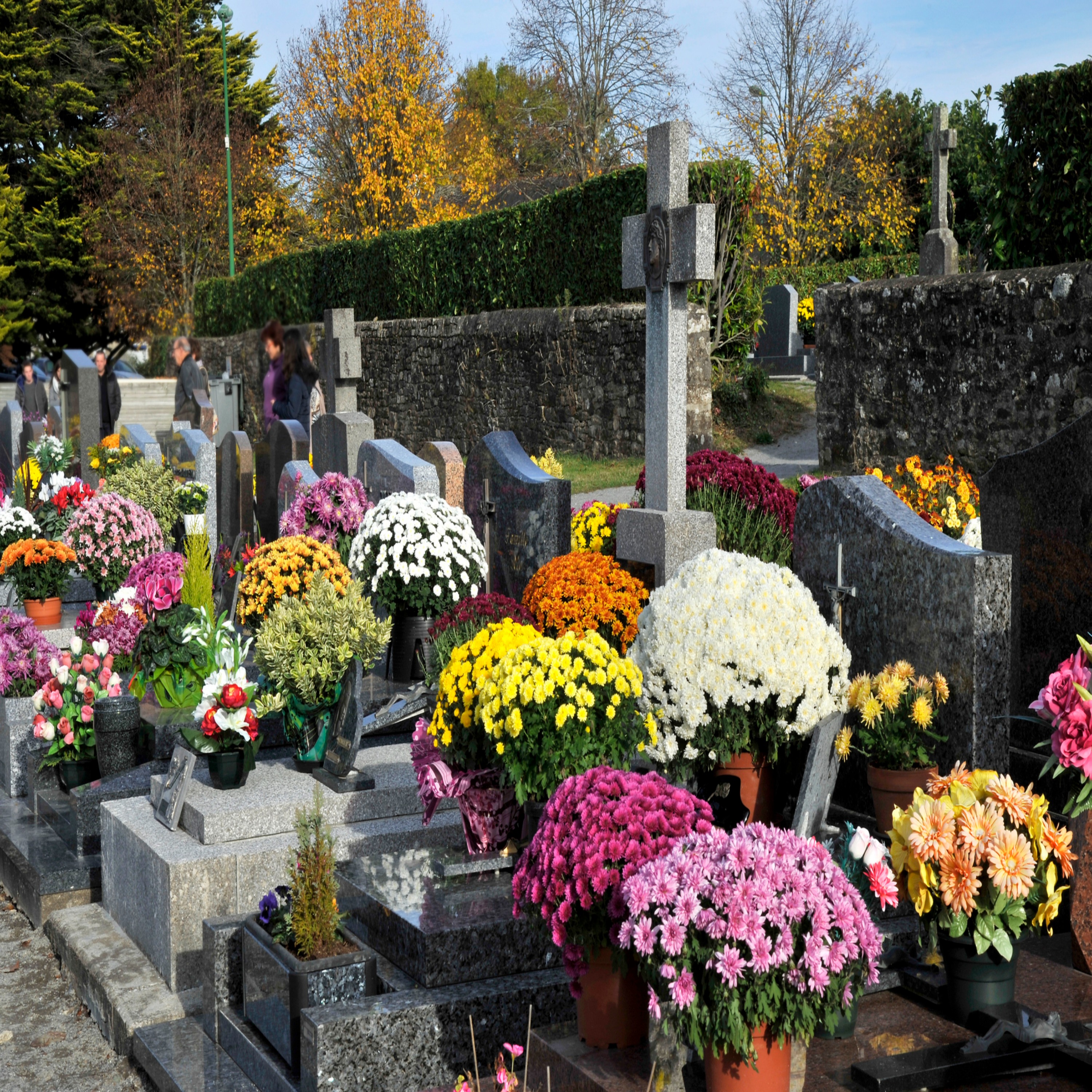 Limerick man says belongings stolen from his family grave episode artwork