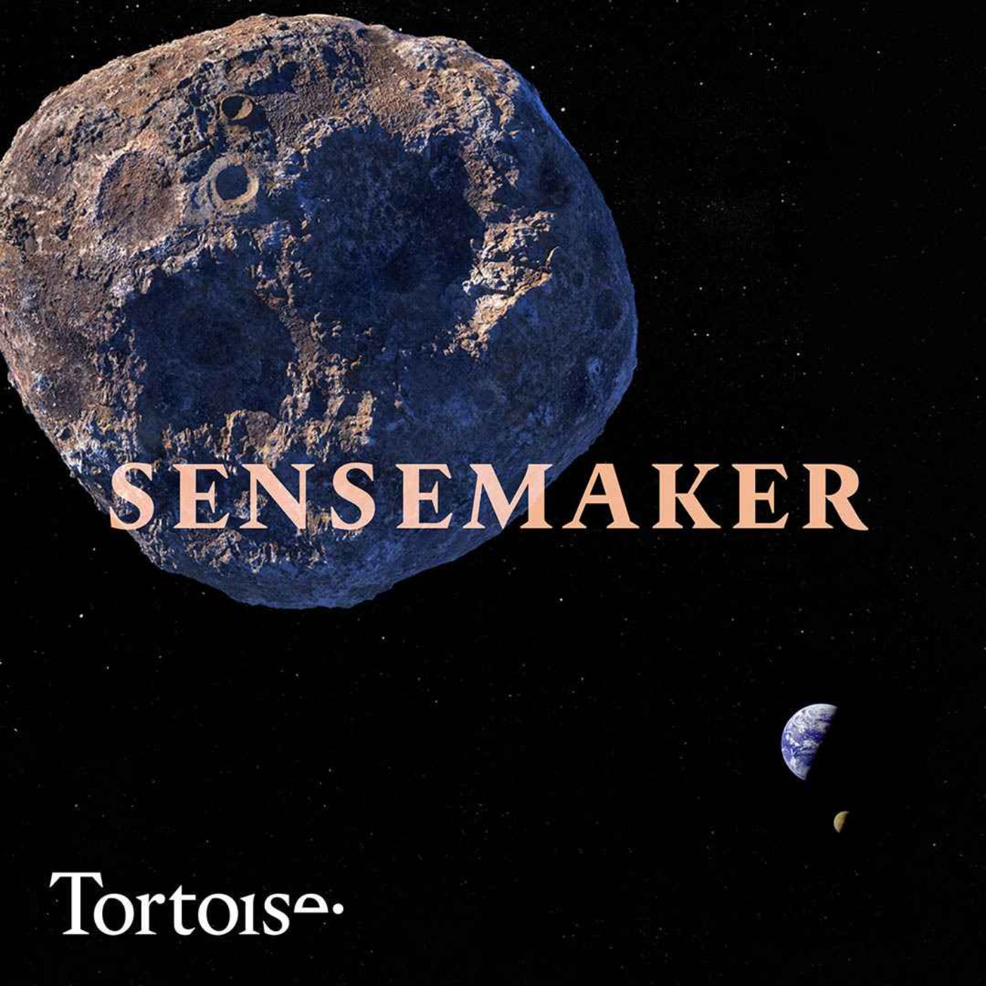 Sensemaker