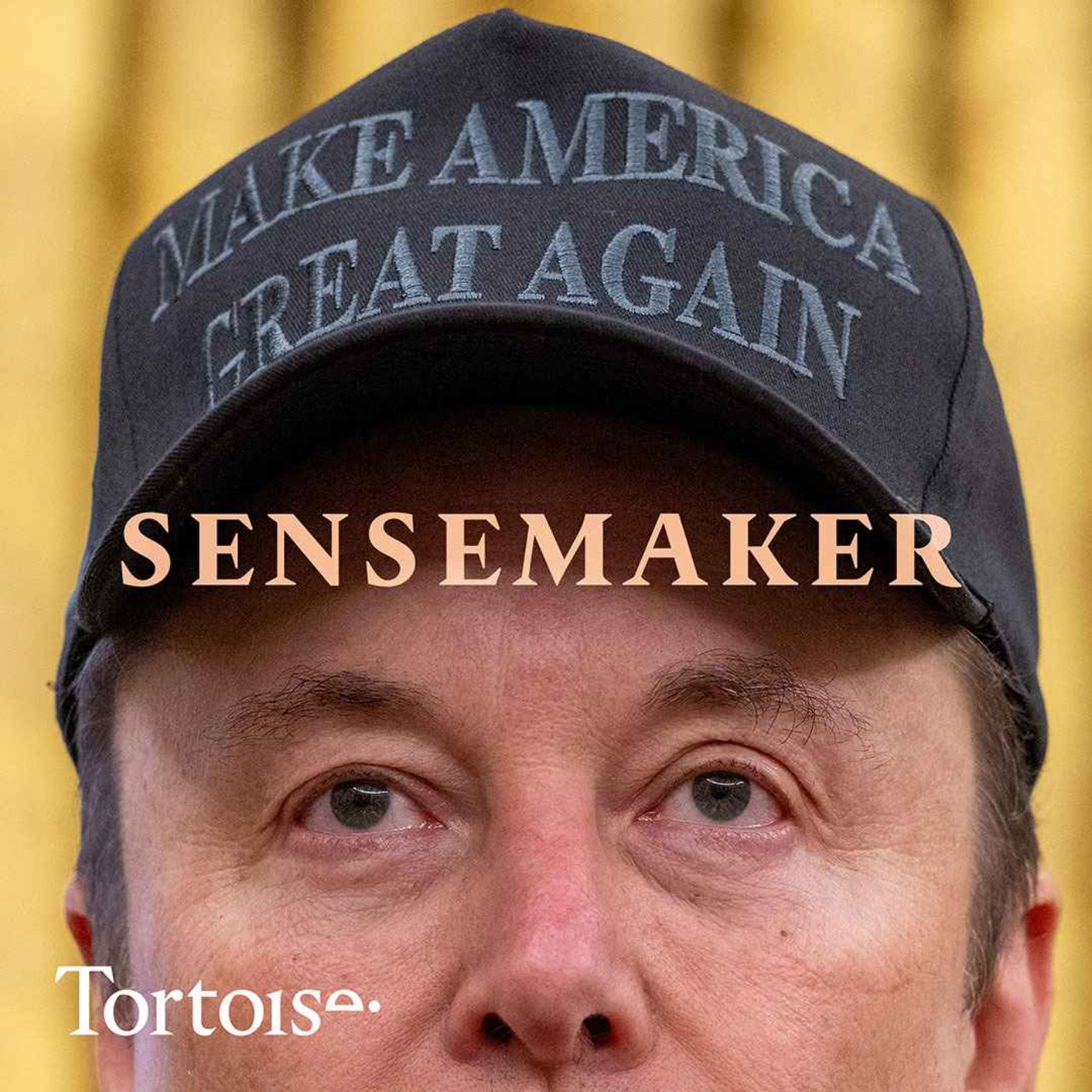 Sensemaker