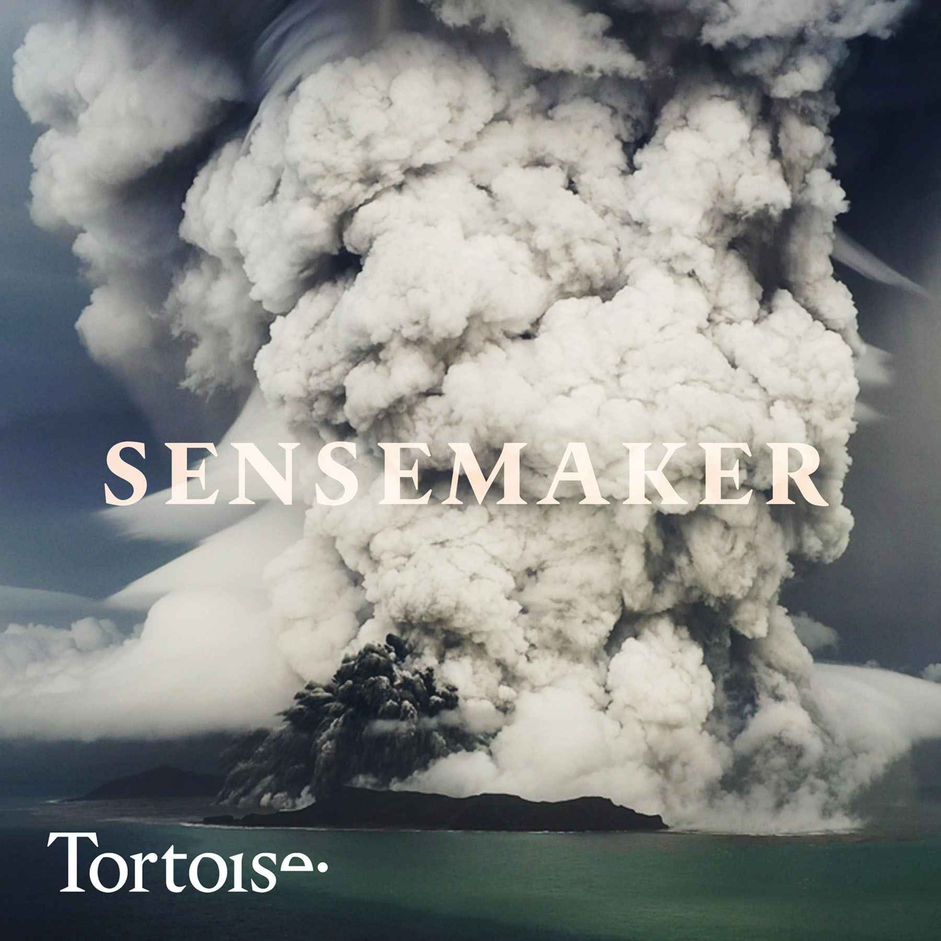 Sensemaker