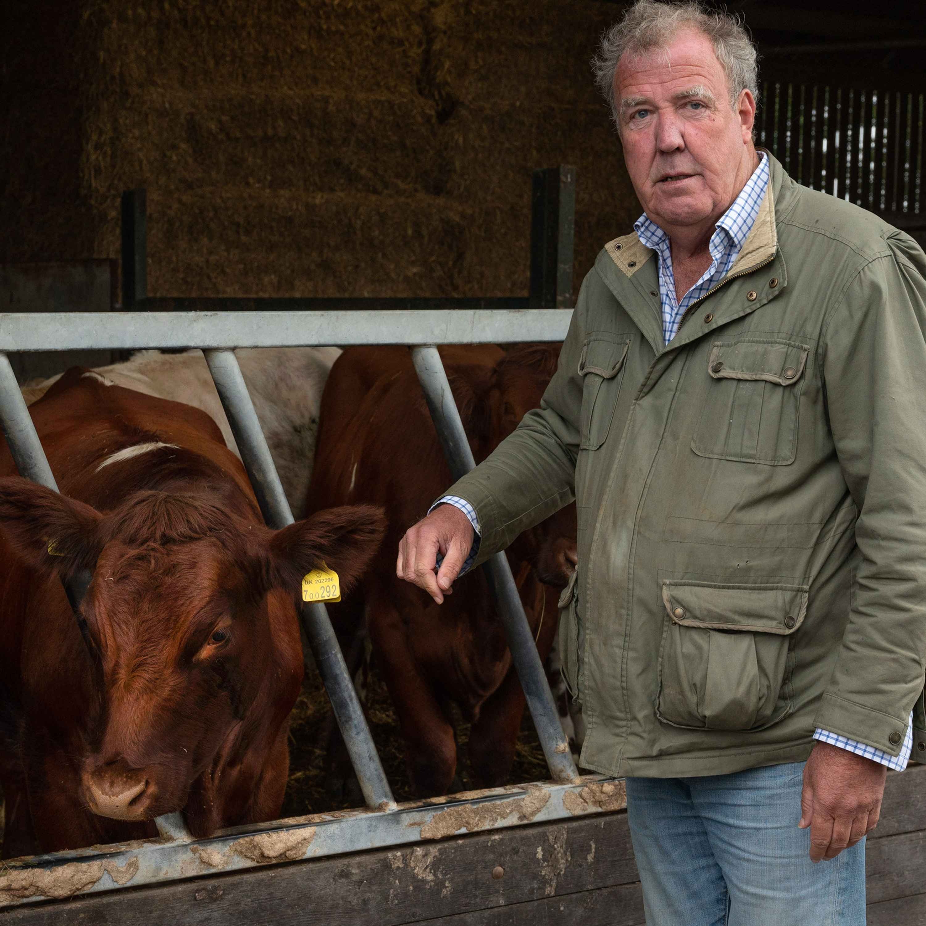 How bovine TB shut down Clarkson’s farm