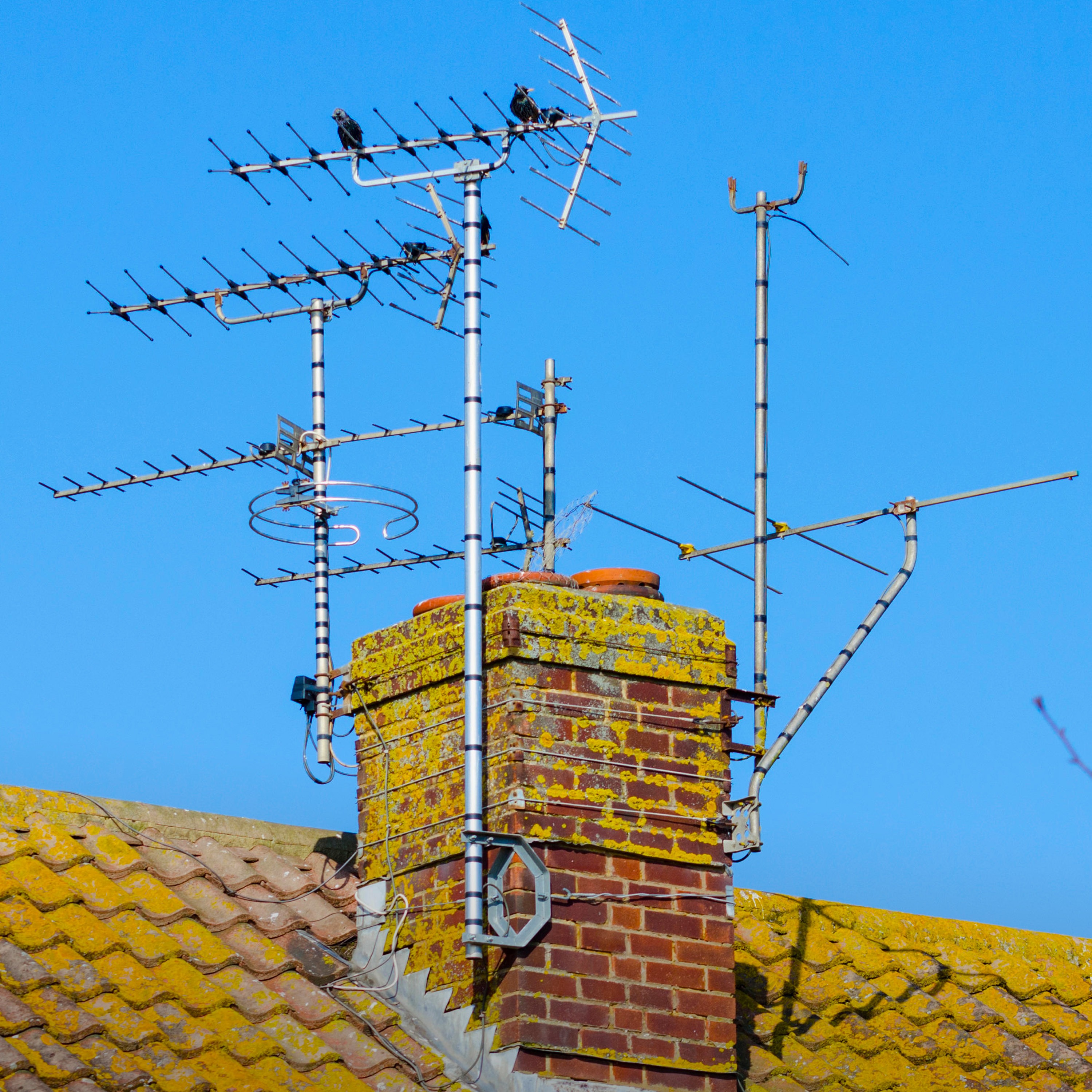 Is this the end of TV? Is this the end of TV?