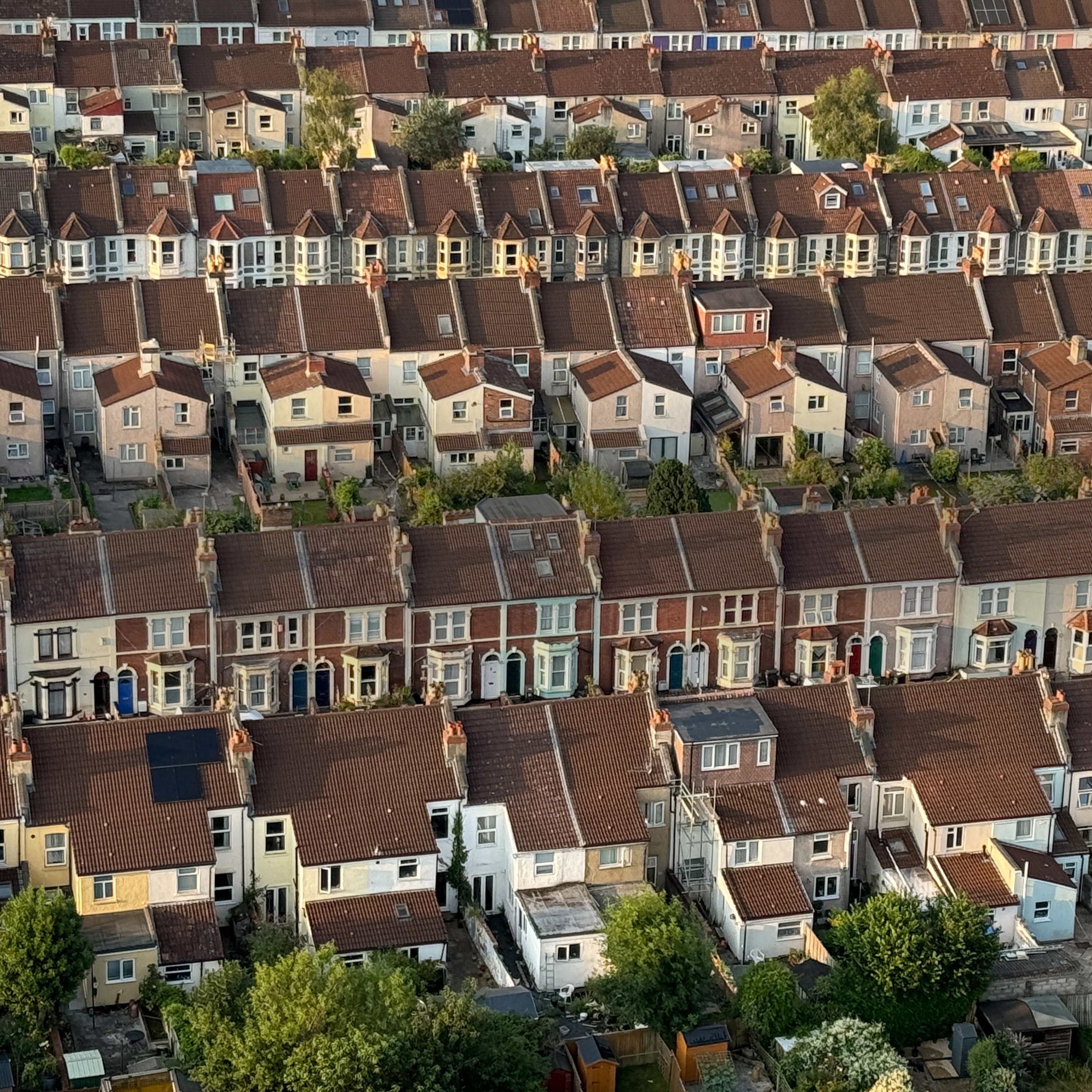 What does the renters rights act mean for tenants?