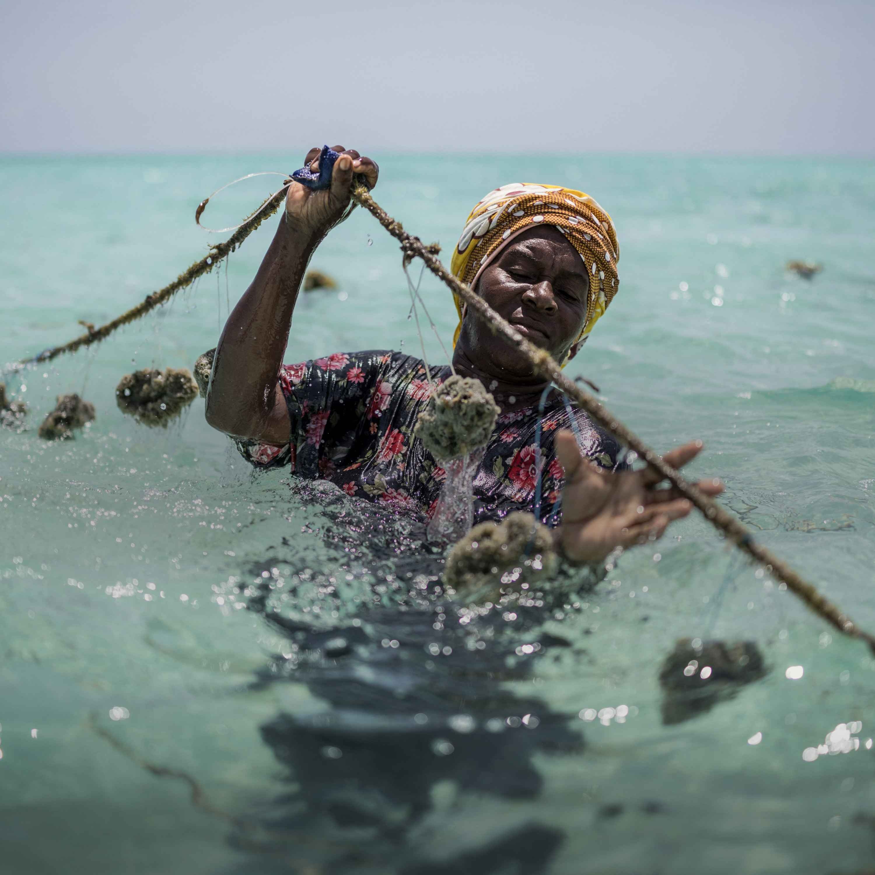 Why is a 2.6 degree temperature rise so catastrophic?