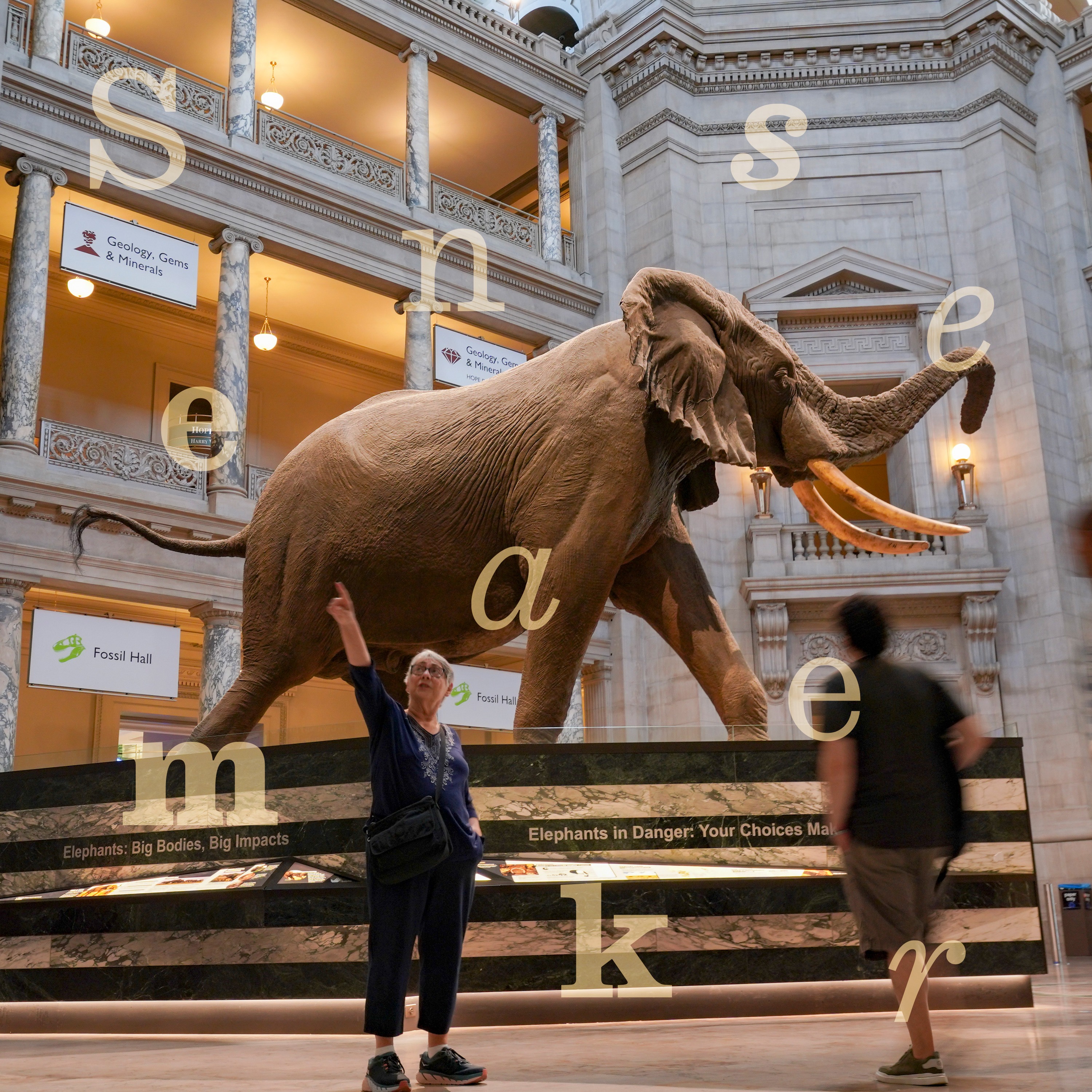 How far will Trump’s attacks on the Smithsonian go?