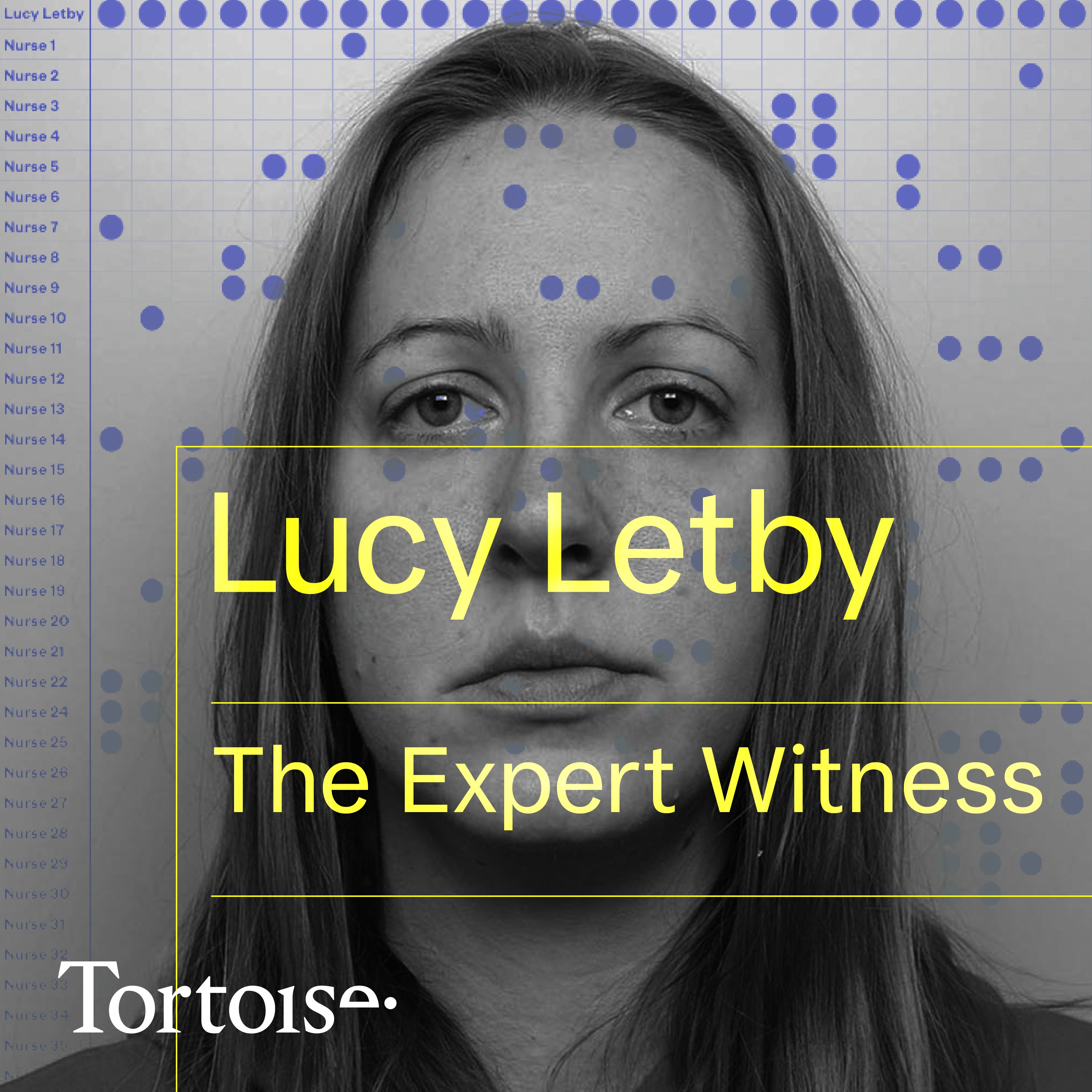 Lucy Letby: the Expert Witness