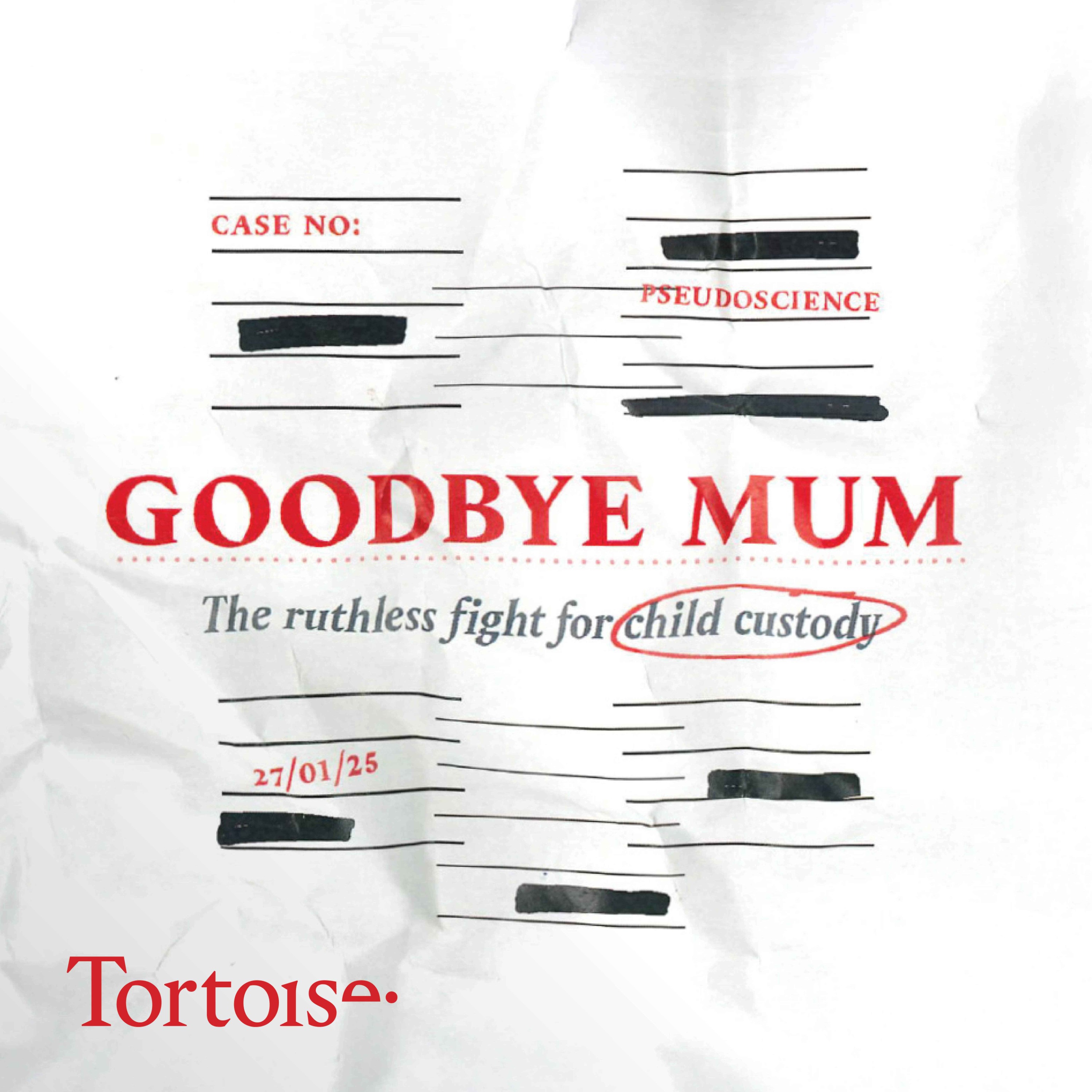 Goodbye mum: the ruthless fight for child custody - podcast episode cover