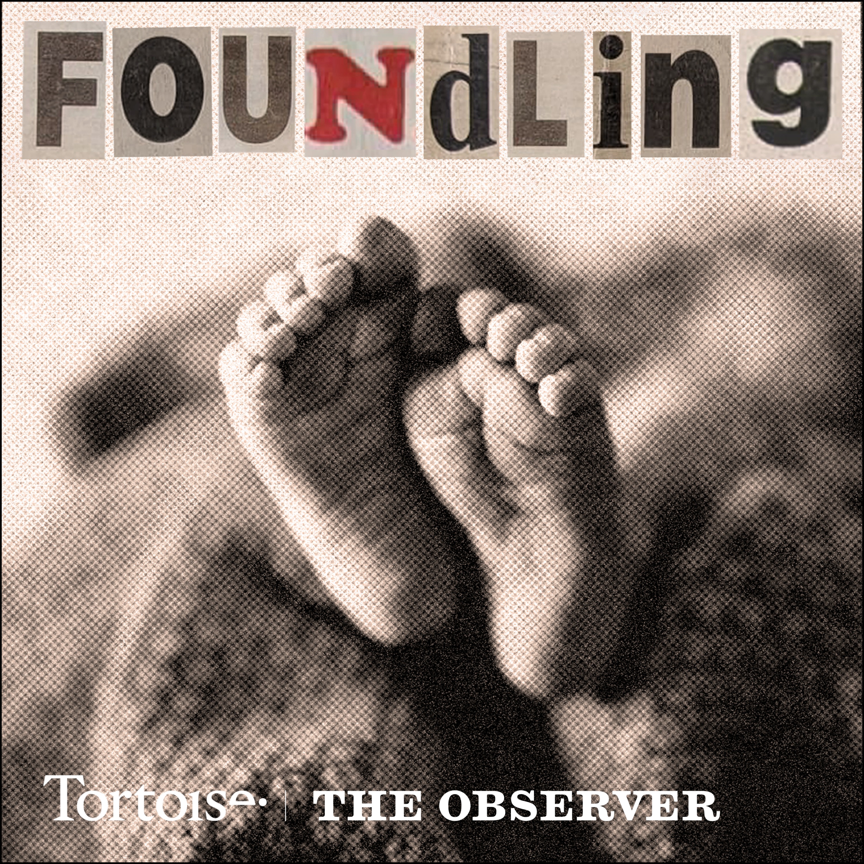 Foundling  | Tortoise Investigates 