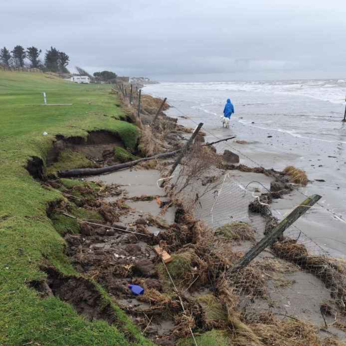 Laytown Pitch & Putt Club Disappearing episode artwork
