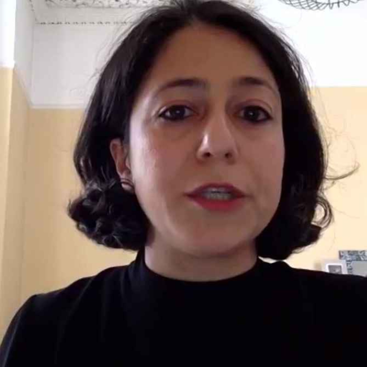 The War in Perspective with Iranian Professor Roja Fazaeli episode artwork