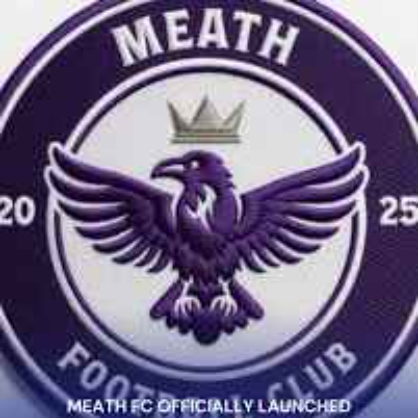 League of Ireland Club for Meath episode artwork