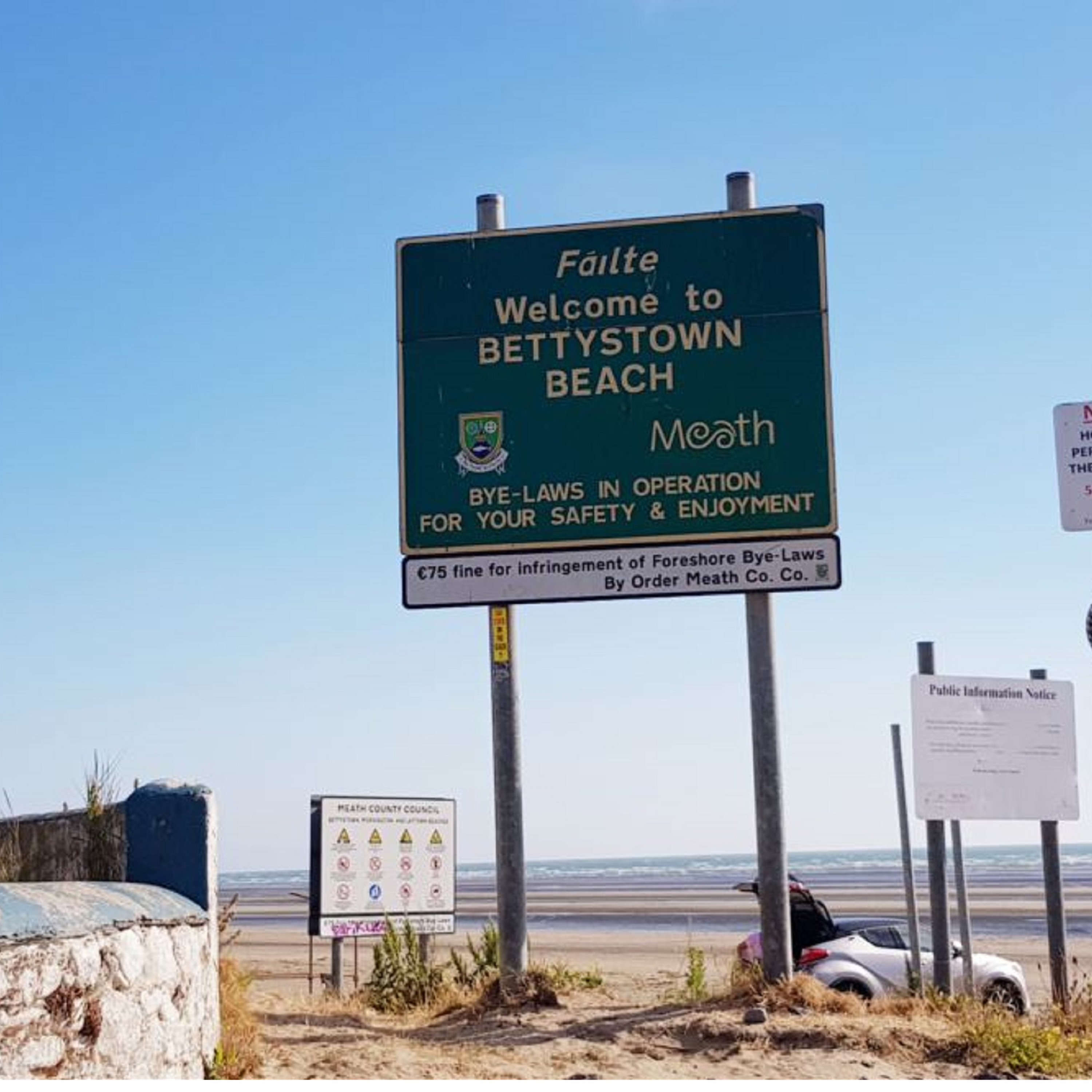 Local Cllrs react to a savage attack on 2 local lads on Bettystown beach on Thursday evening episode artwork