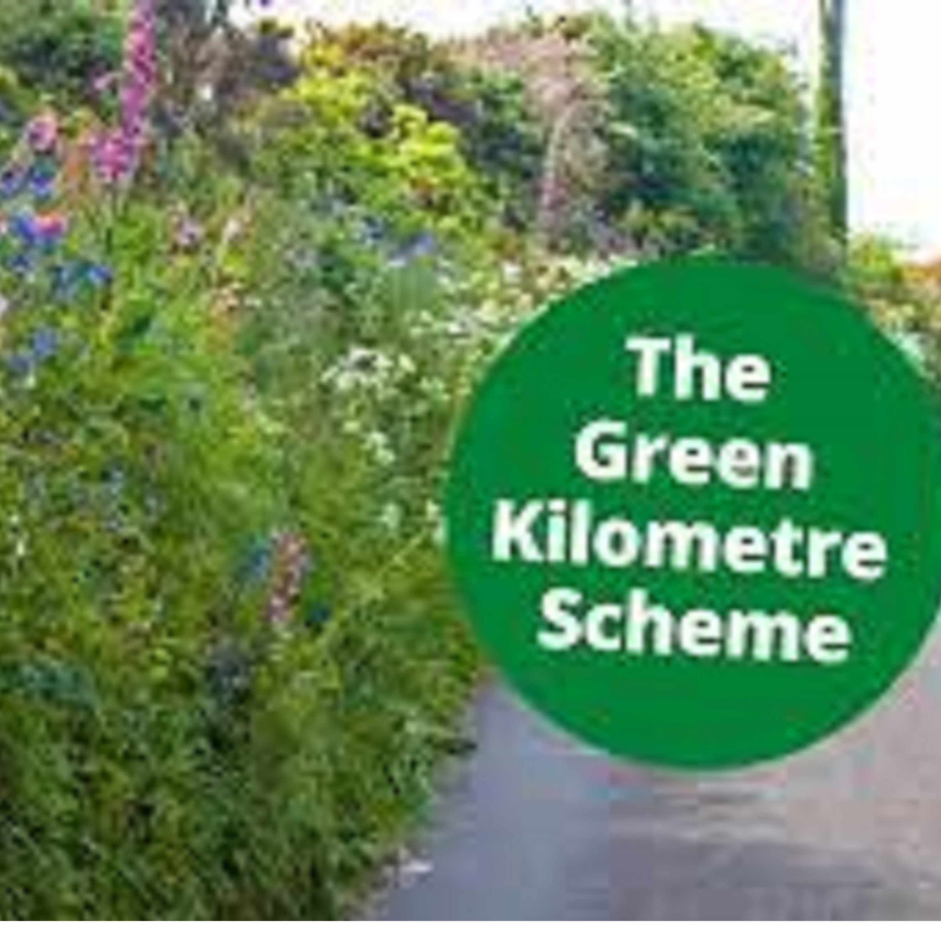 5,700 bags of  roadside rubbish have been collected in Co Meath under a scheme to enable citizens to clean up their local area episode artwork