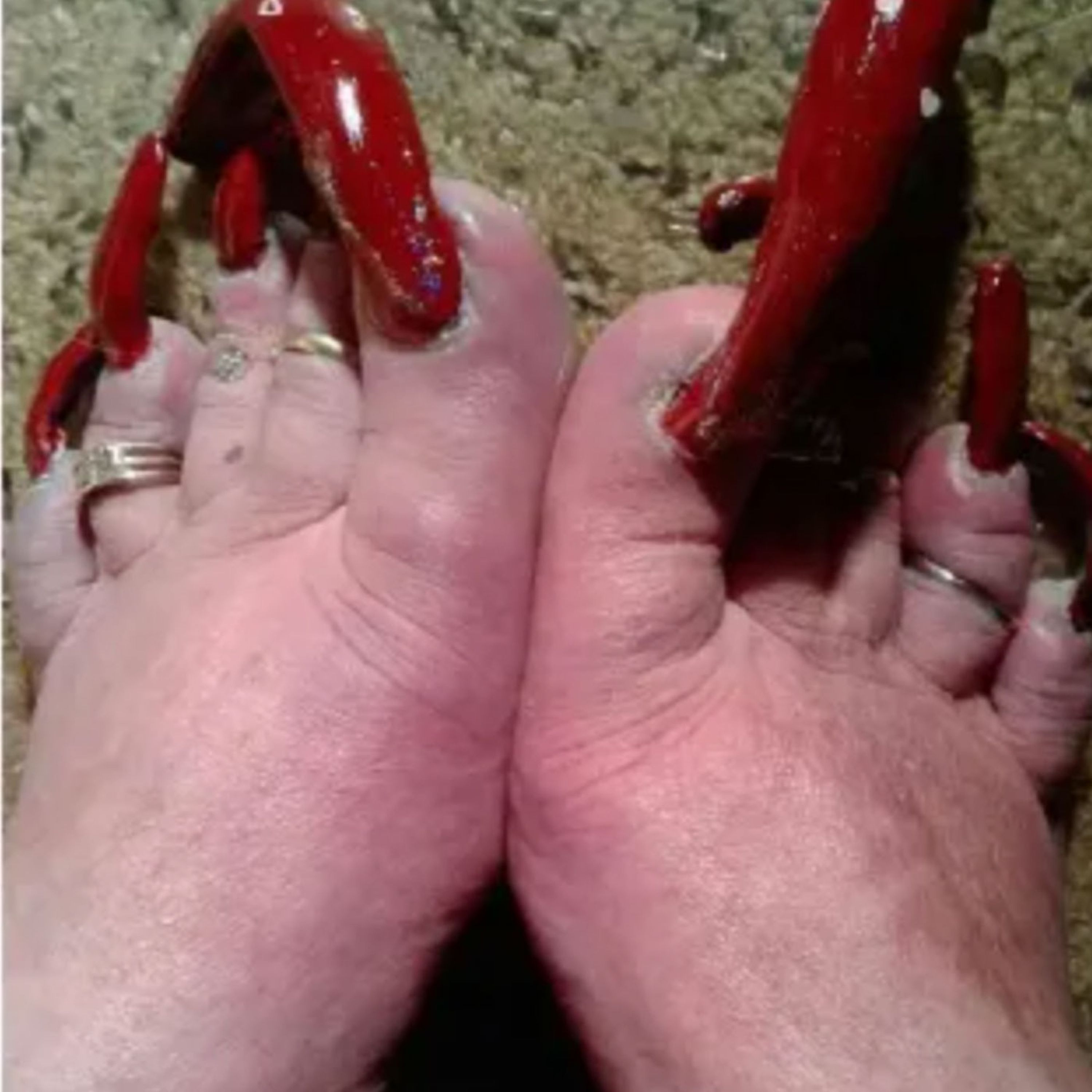 She Sells Videos of Her Toenails Online episode artwork