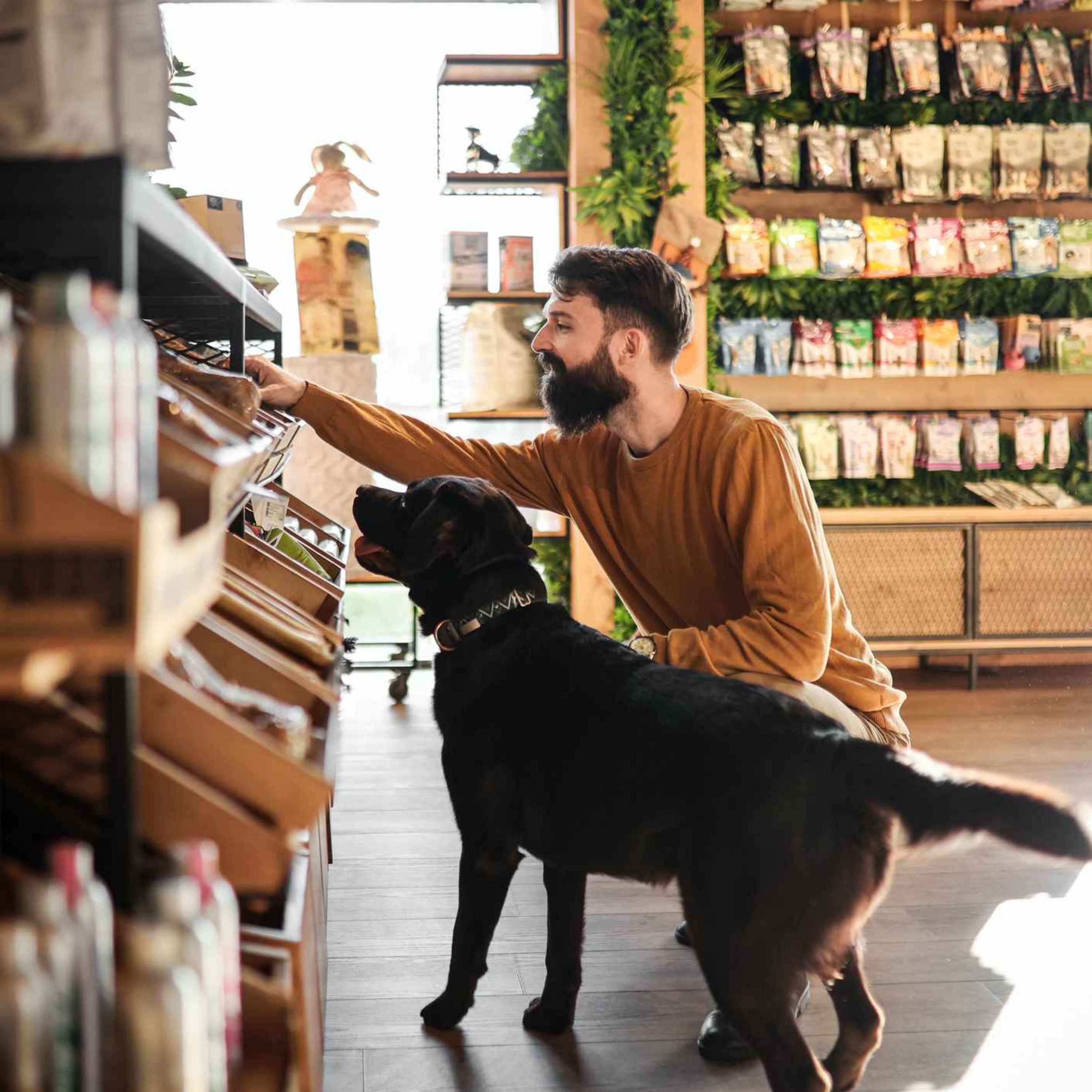 5117: LISTEN¦ Should all shops be dog friendly? One major UK retailer is now allowing pet owners to bring their pups with them to their 200+ stores. Frank spoke to Helen McClements