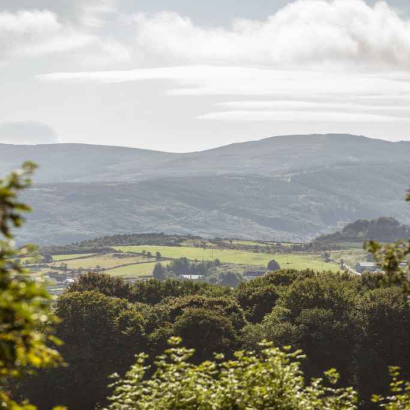 5569: LISTEN¦ A local councillor says he's 'alarmed' by the scale of plans for a major tourist development at Kilbroney, after the proposal for a gondola style lift in the Mournes was shelved 